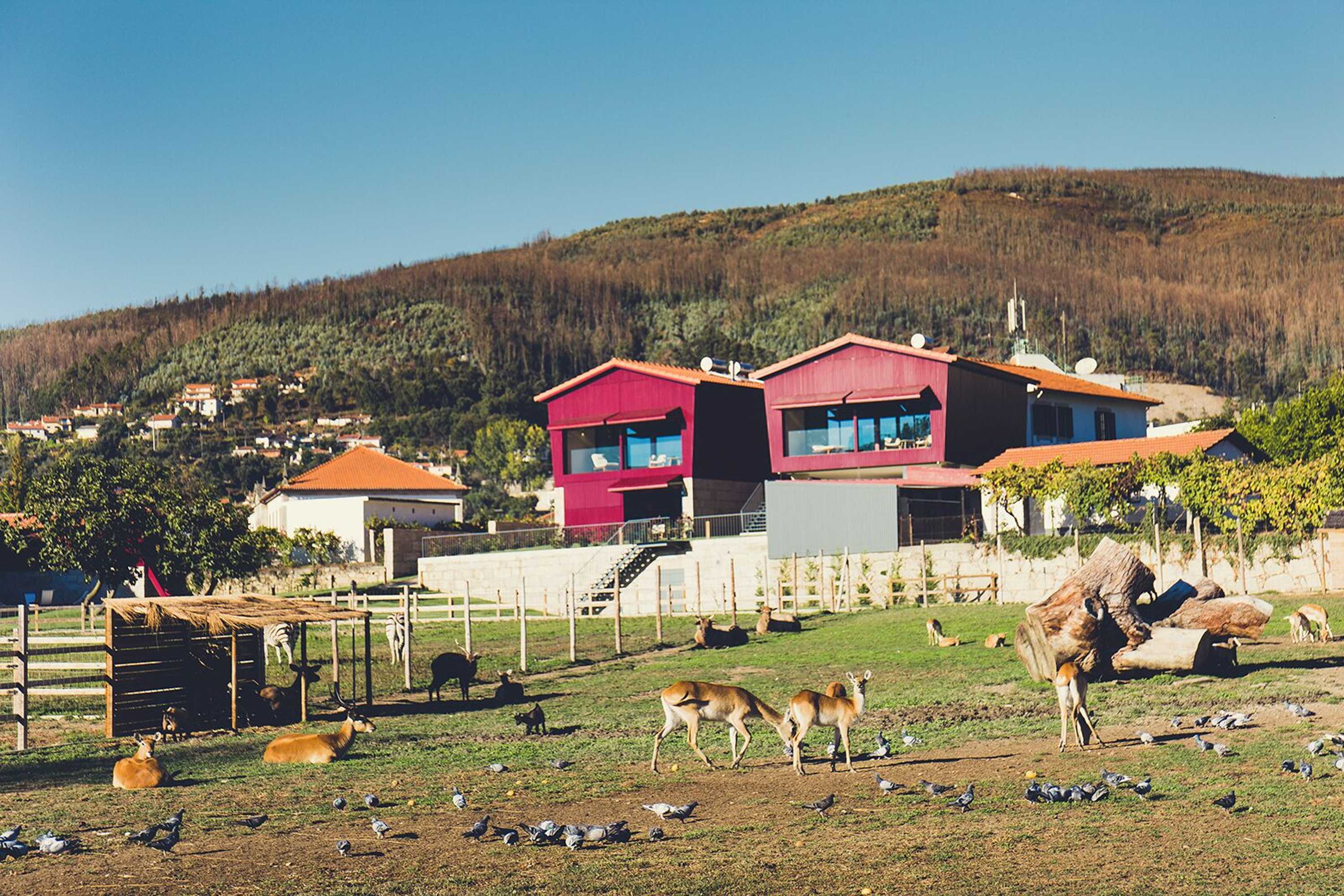 Gift card for Quintãs Farm Houses