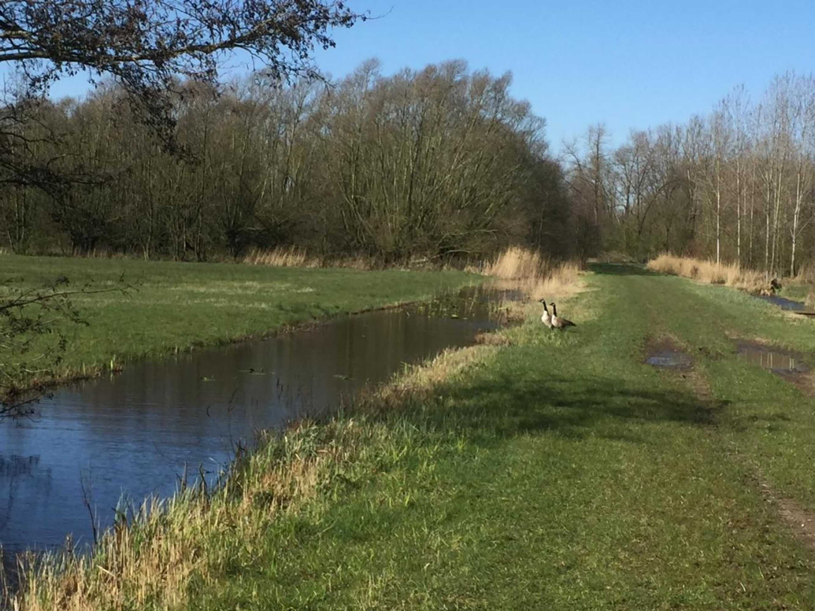 Gift card for B&b Gamerenwaard