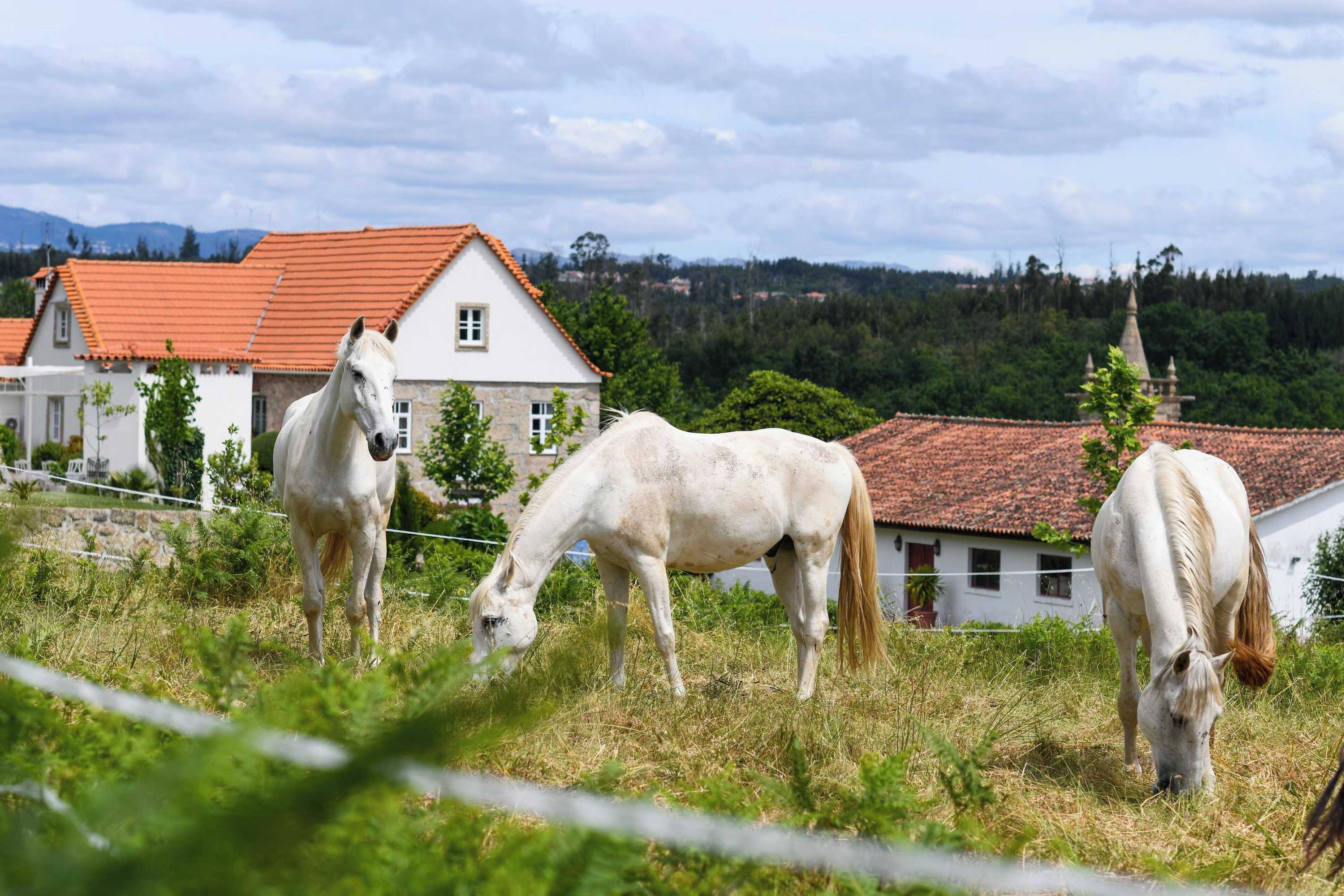 Gift card for Quinta Lusitânia