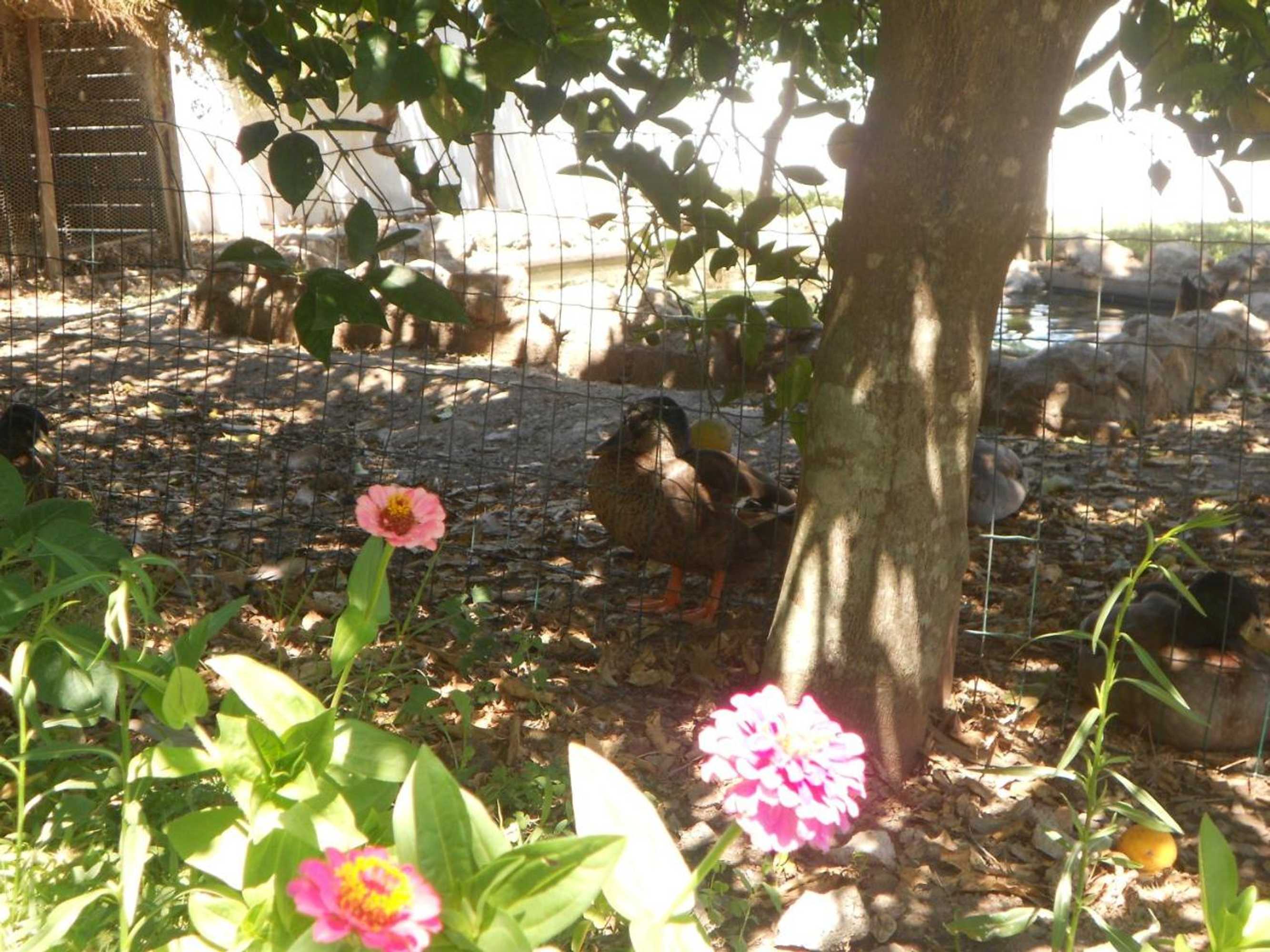 Gift card for Monte Das Galhanas