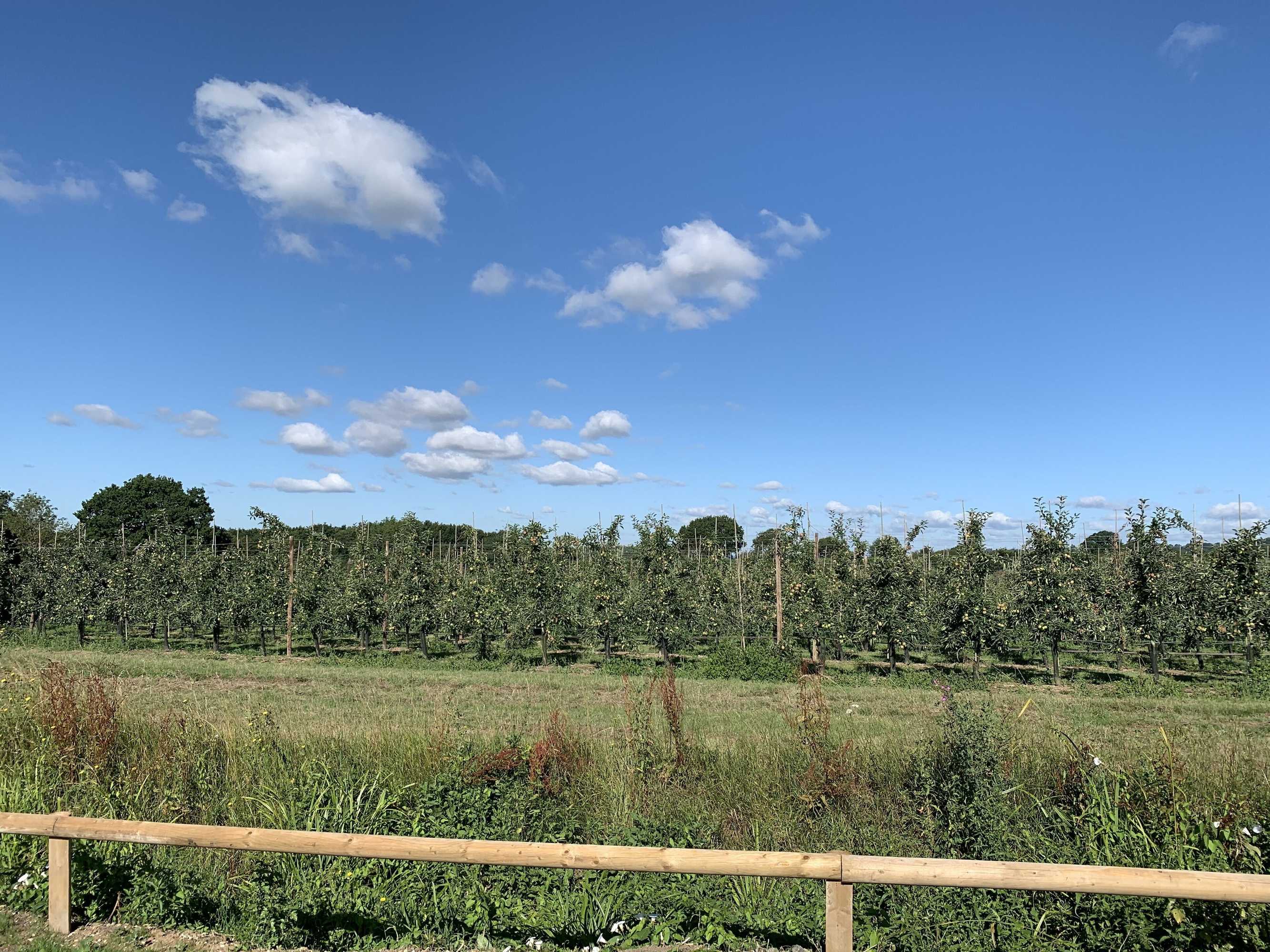 Gift card for Blackberry Cottage