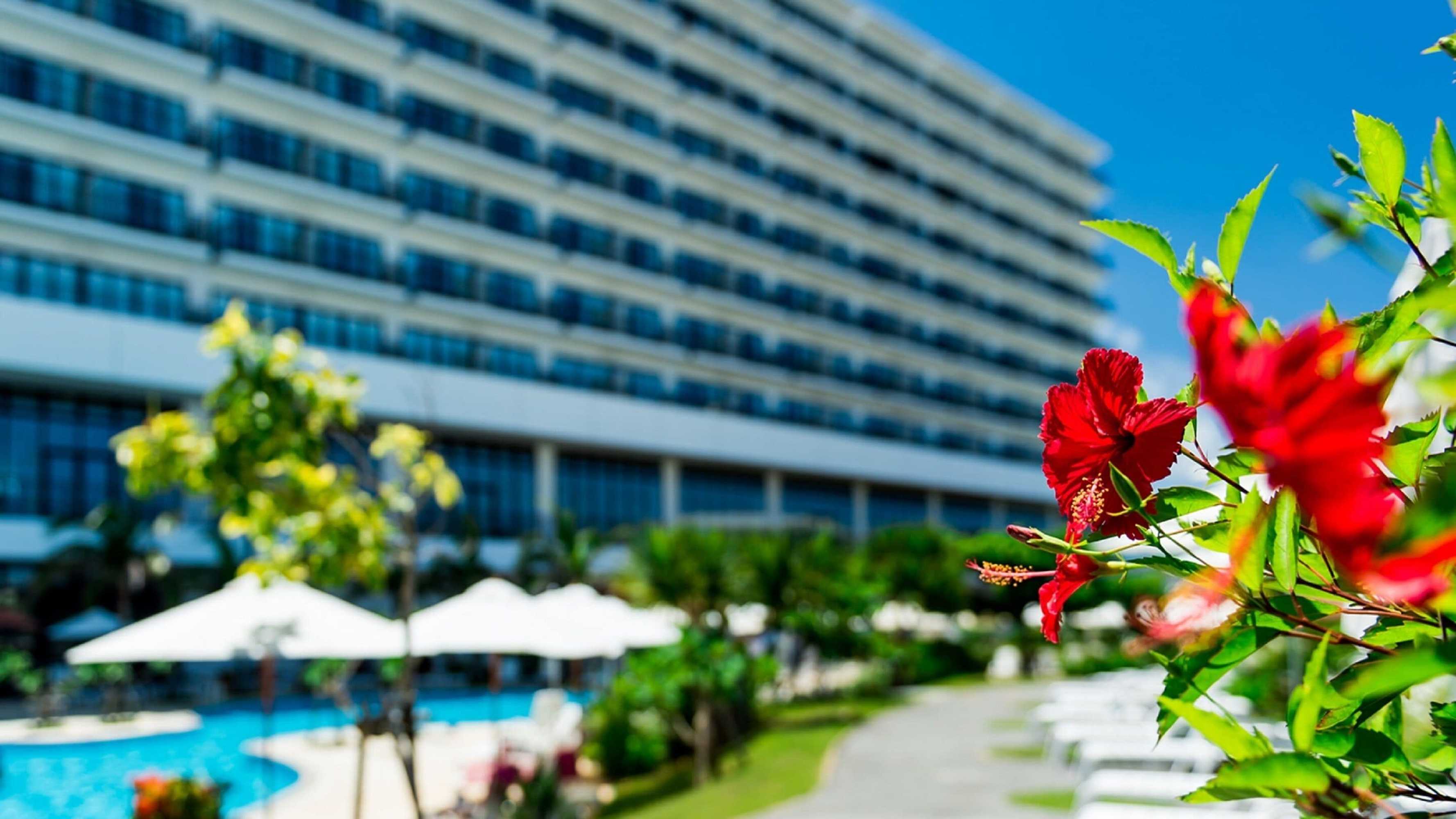 Gift card for Southern Beach Hotel & Resort Okinawa Gift card for Southern Beach Hotel & Resort Okinawa
