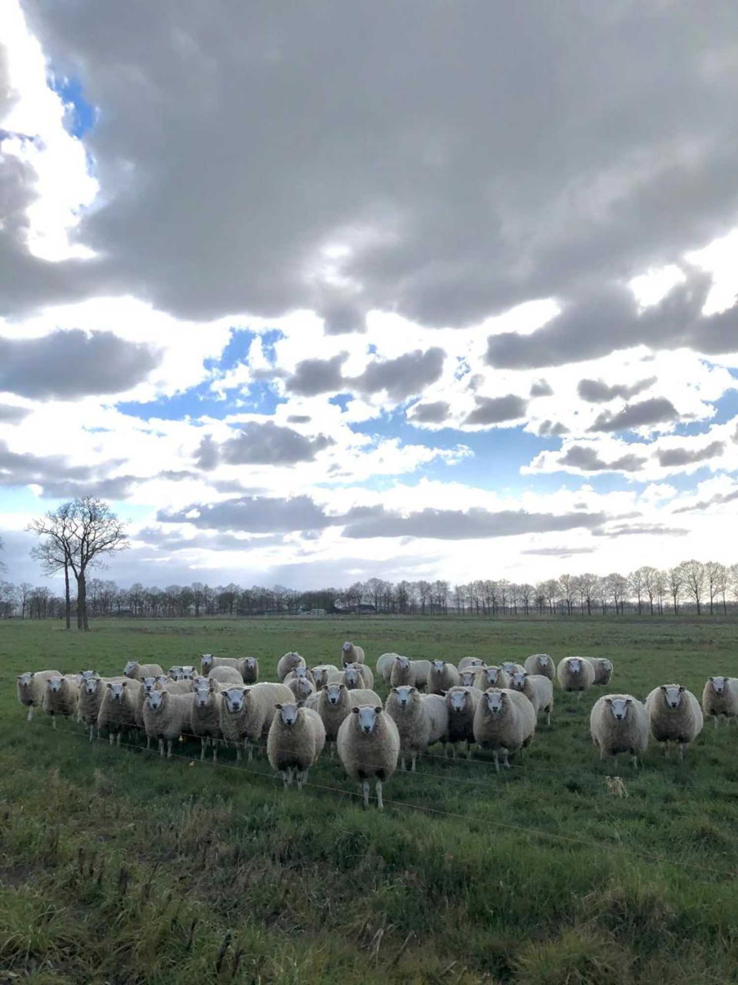 Gift card for B&b de Tuinfluiter