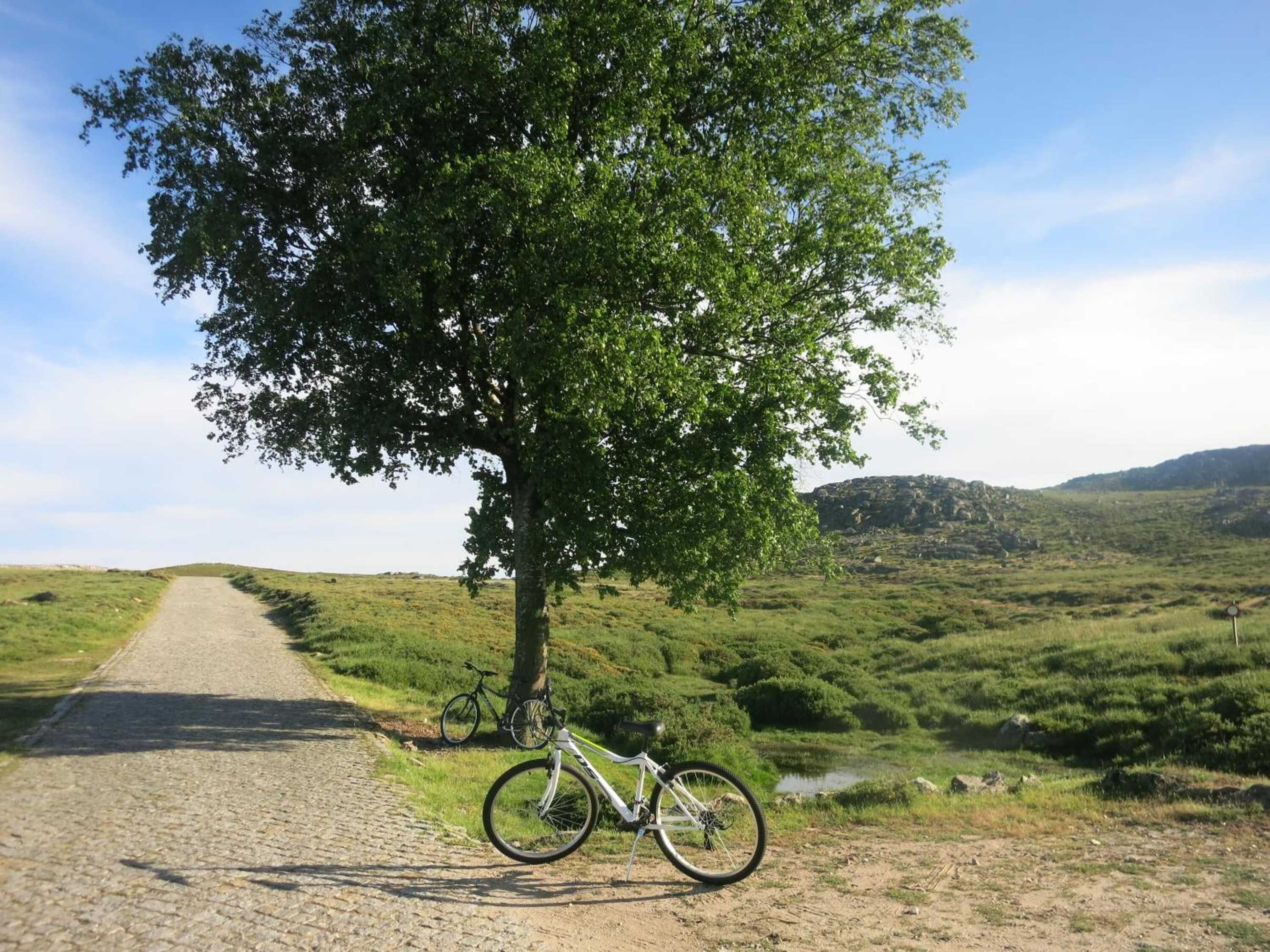 Gift card for Hotel Rural da Freita