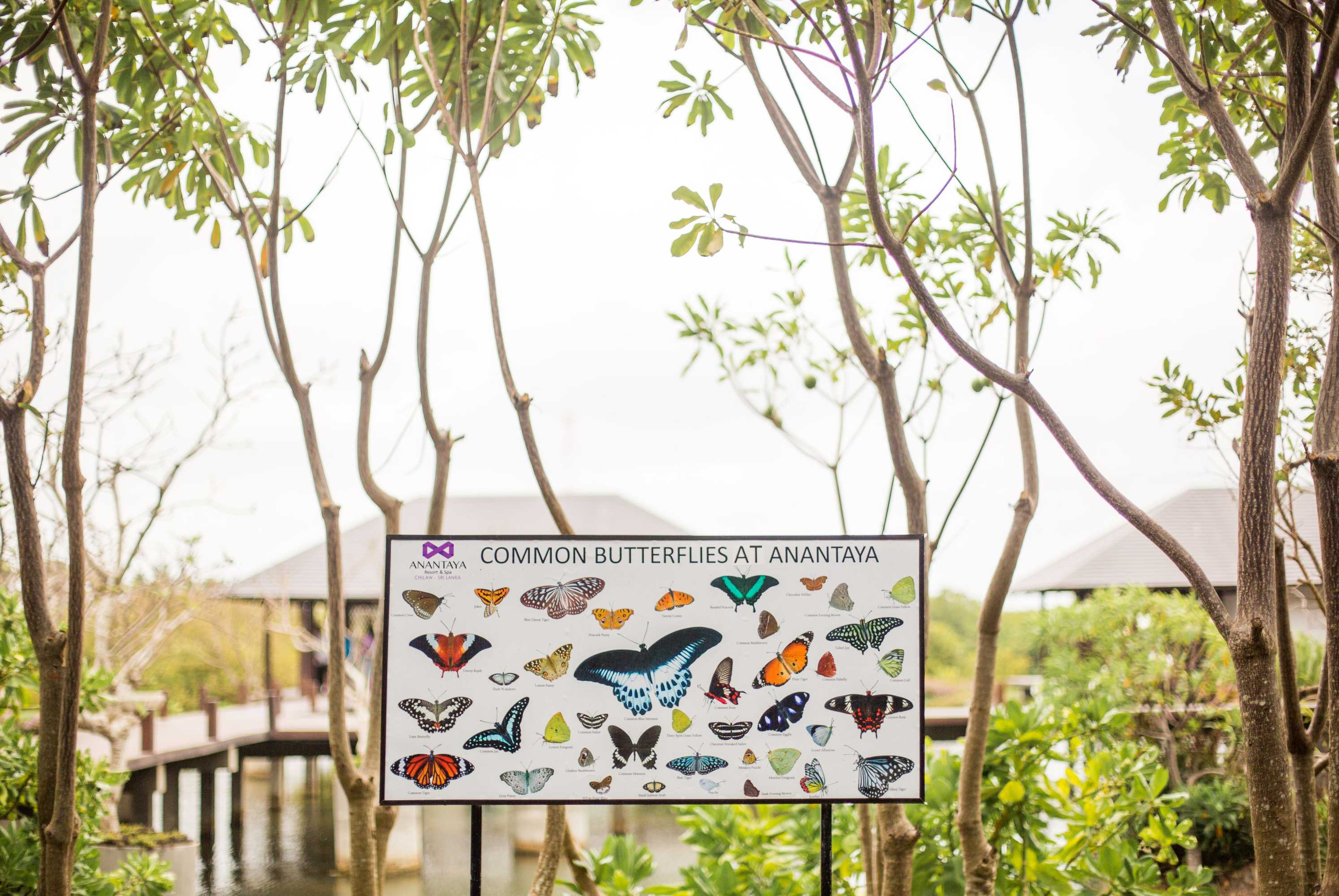 Gift card for Anantaya Resort And Spa Chilaw Gift card for Anantaya Resort And Spa Chilaw