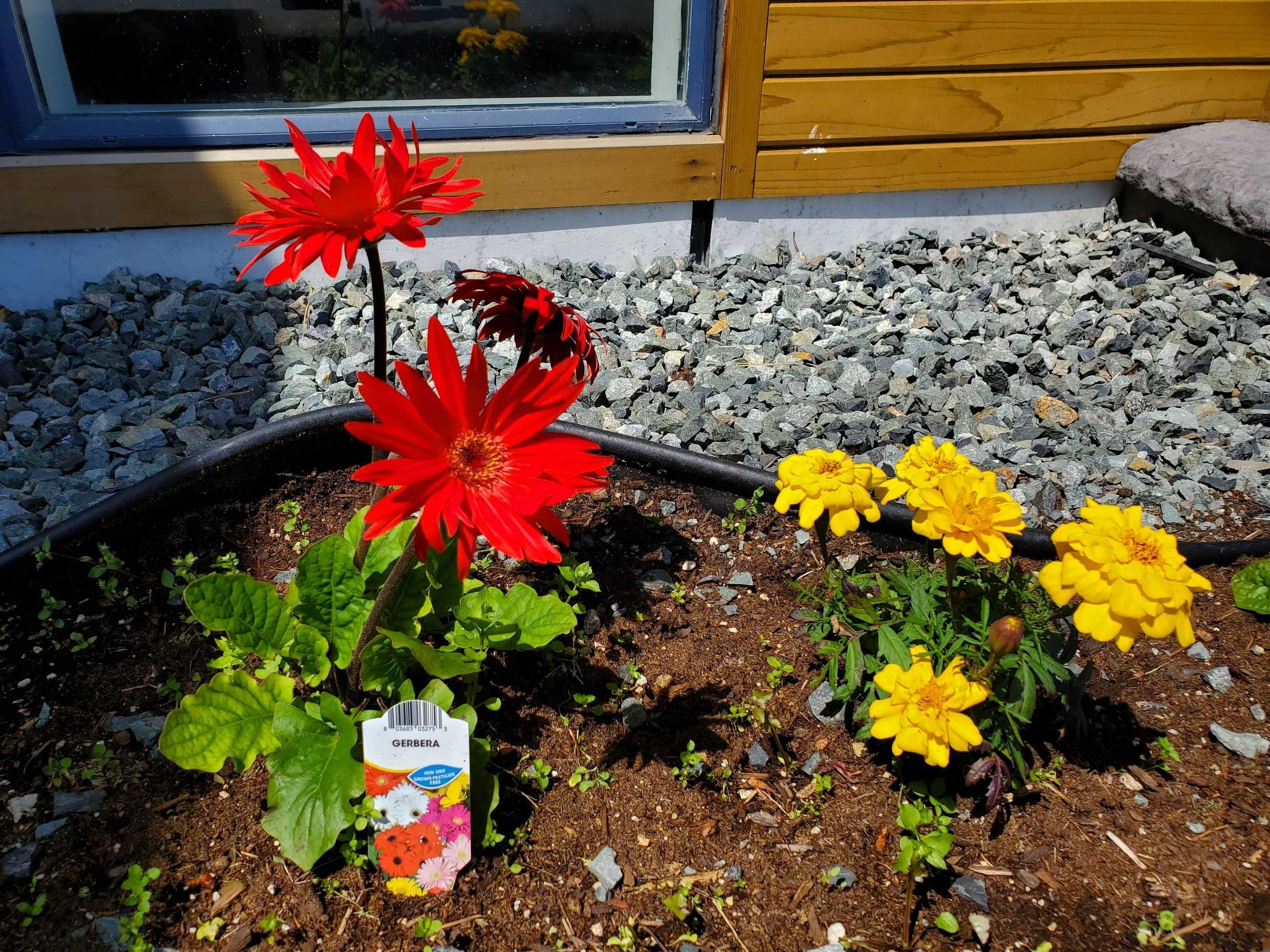 Gift card for Alpine Inn Abbotsford Gift card for Alpine Inn Abbotsford