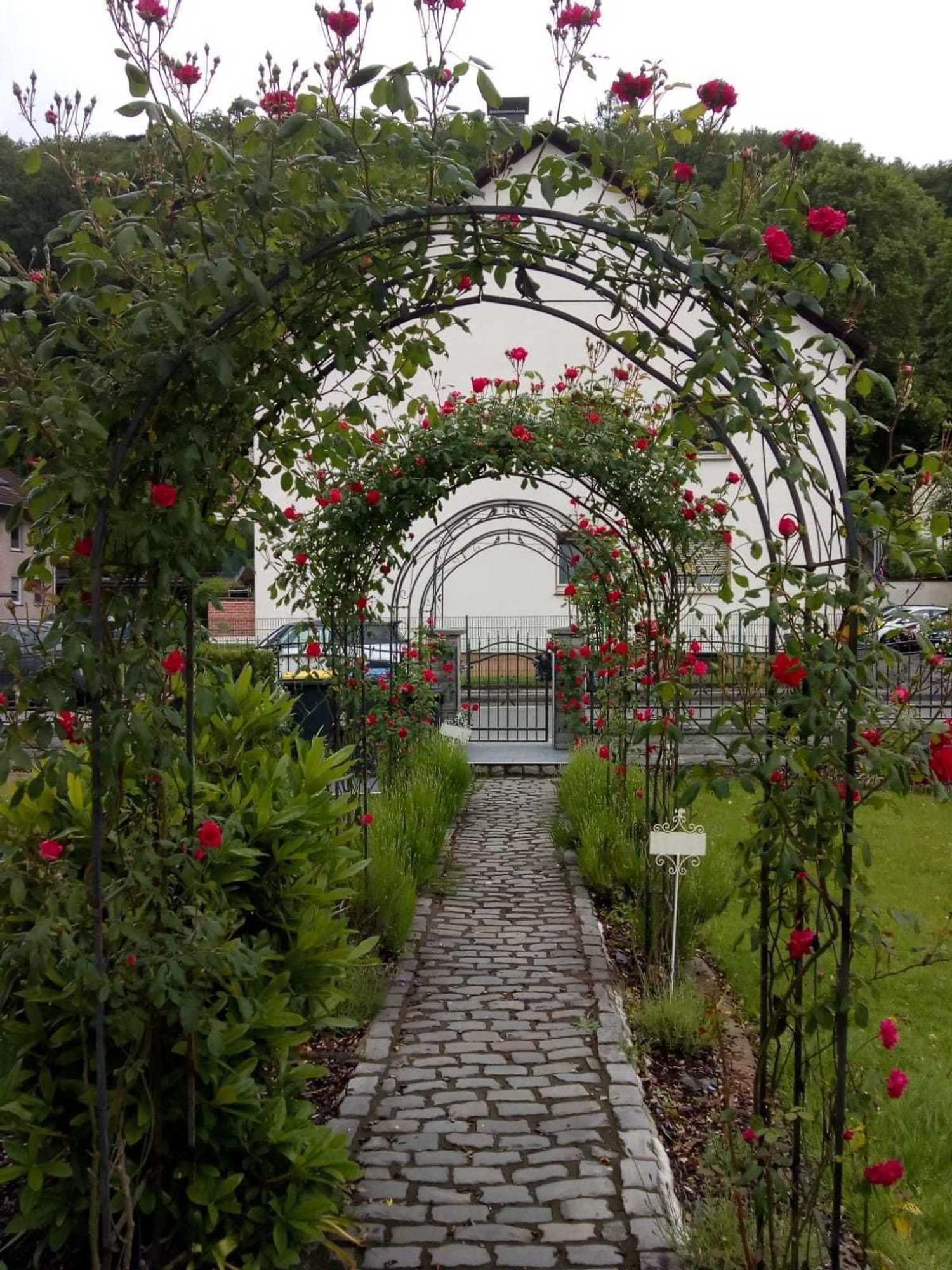 Gift card for Villa Biso