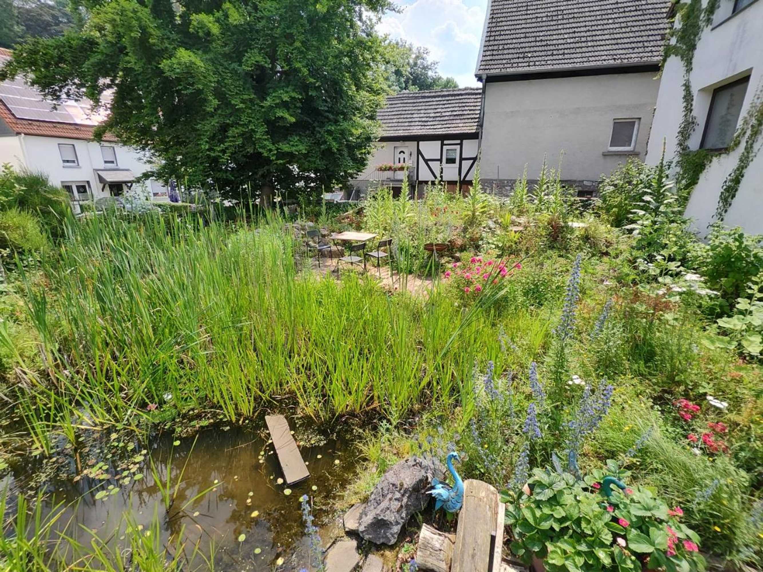 Gift card for Mammut Apartments