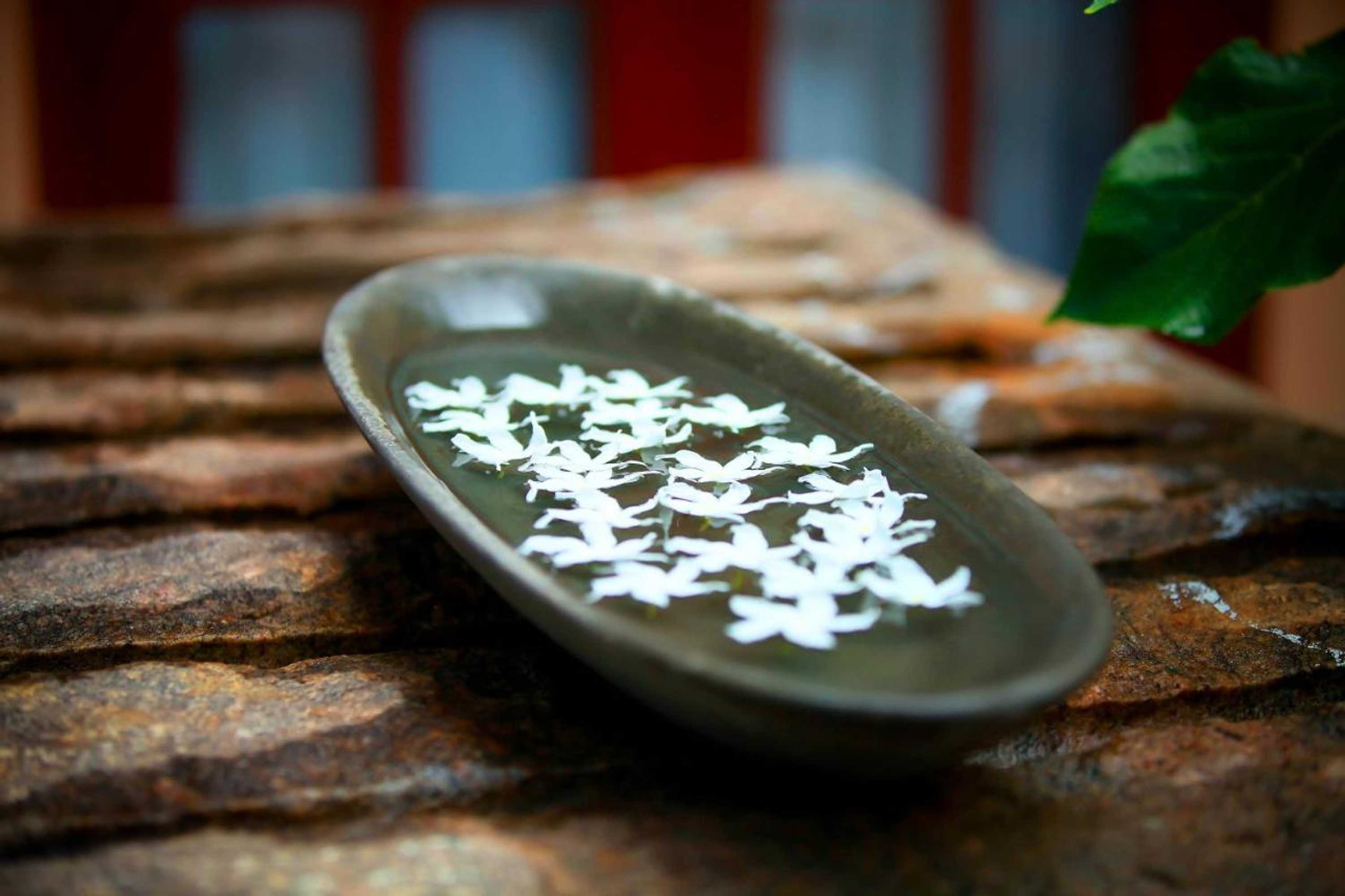 Gift card for Lenora Villas