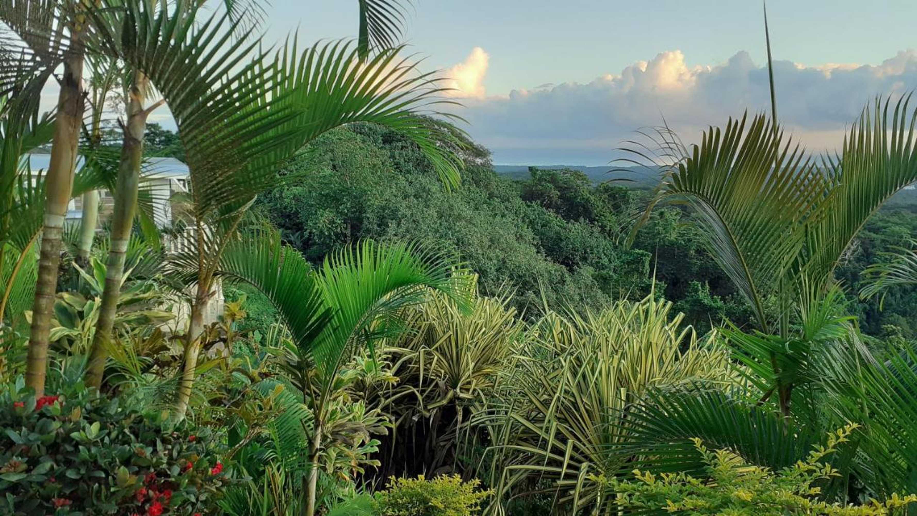 Gift card for Dave Parker Eco Lodge Hotel