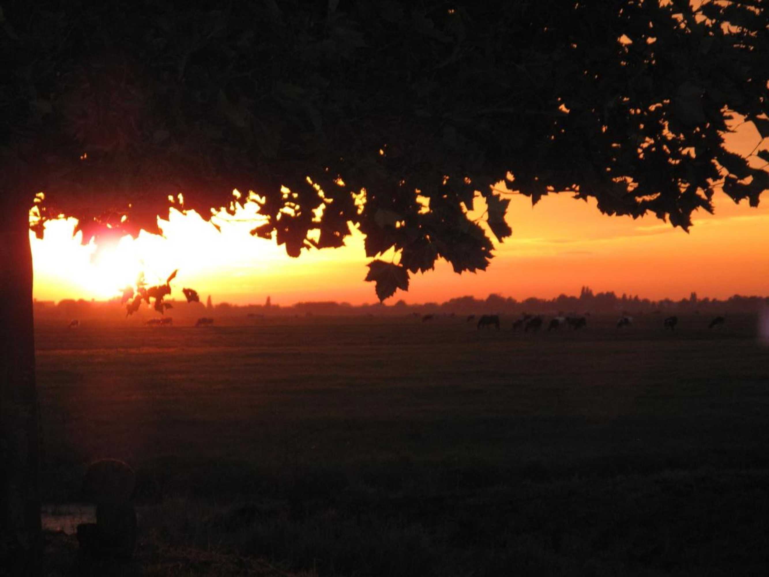 Gift card for The Waverly House