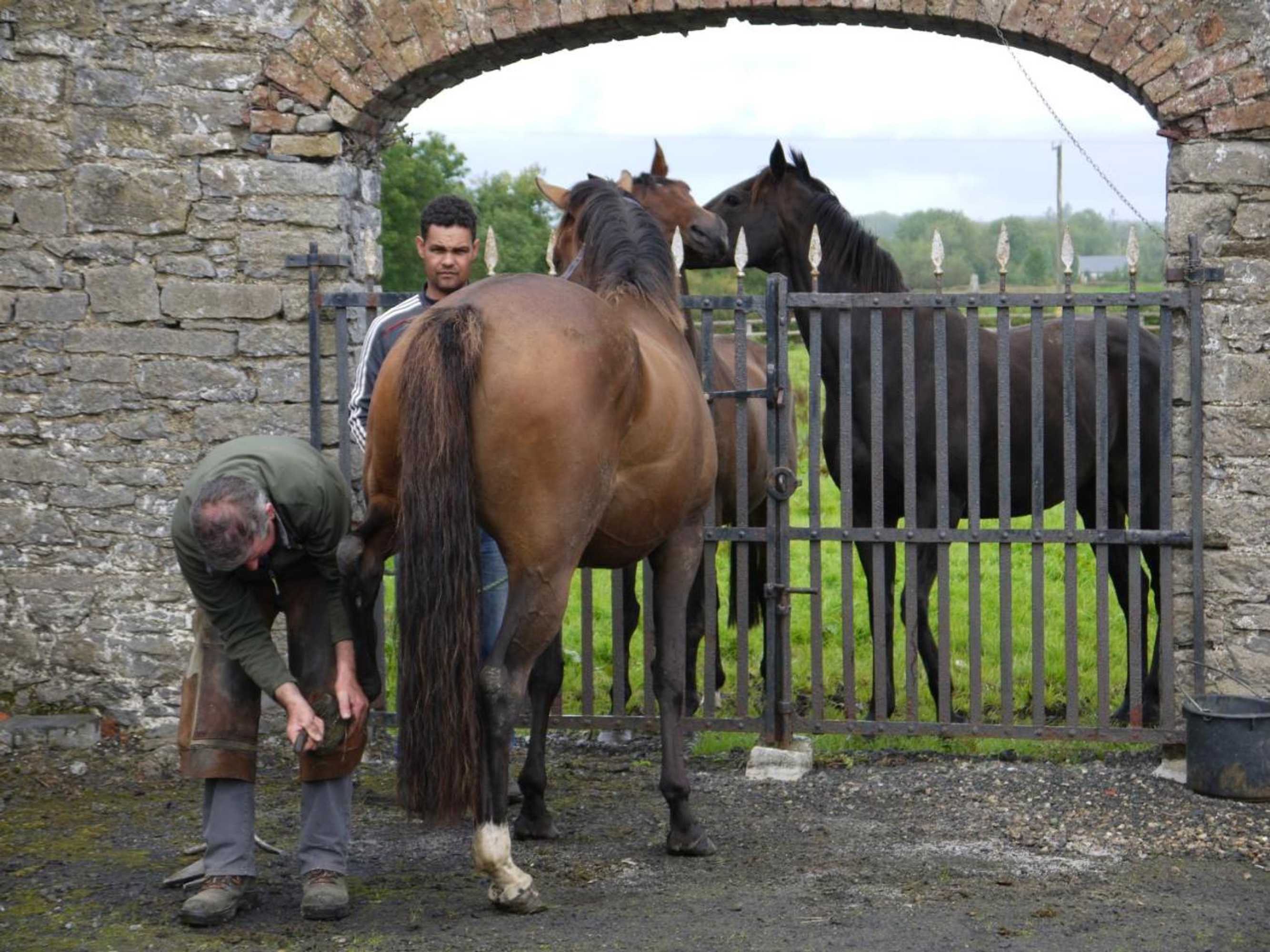 Gift card for The Carriage Houses at Beechpark House Gift card for The Carriage Houses at Beechpark House