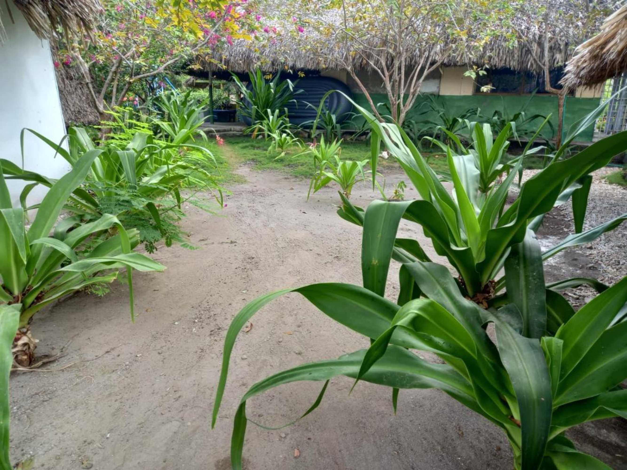 Gift card for Ecohouse Las Flores