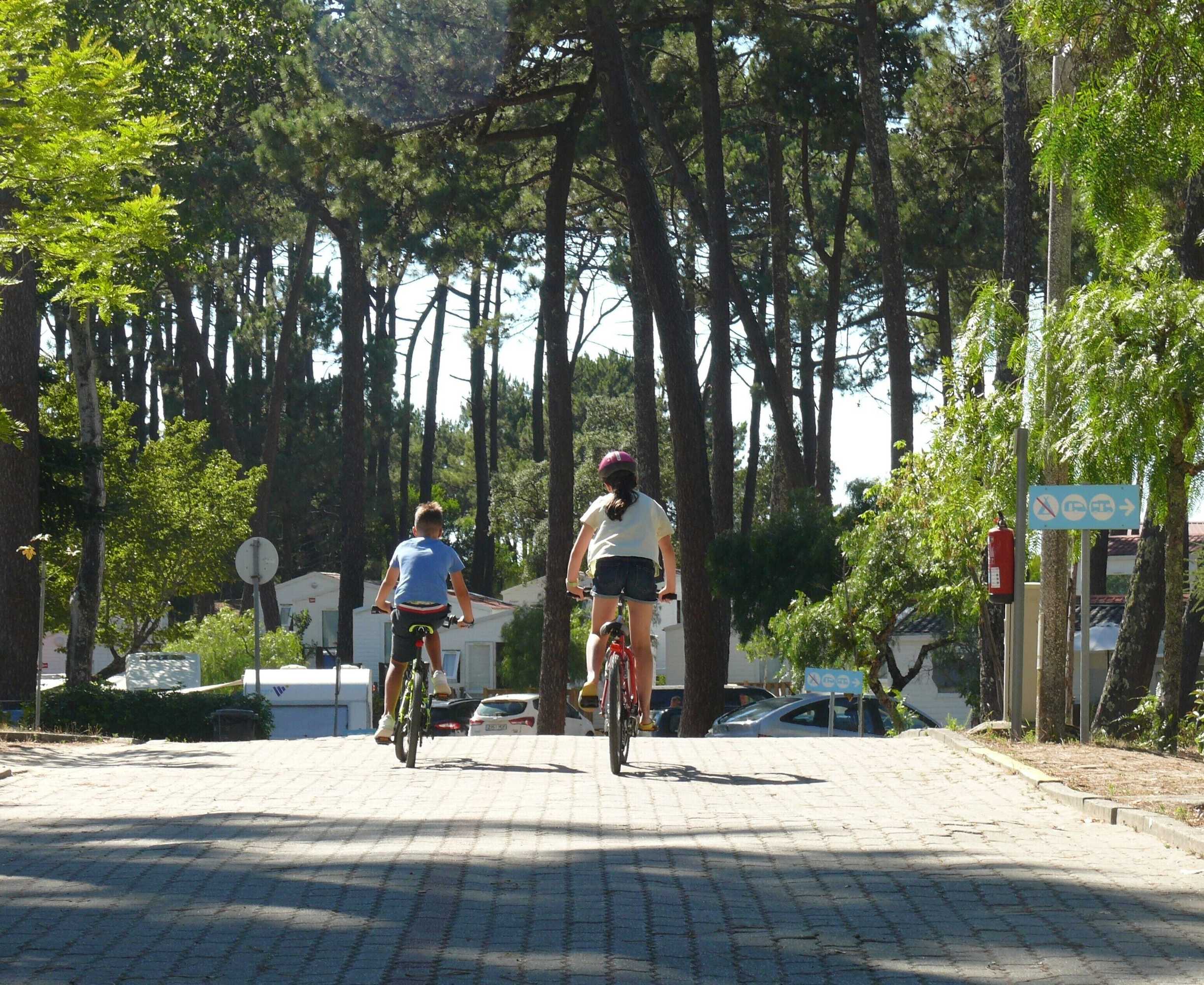 Gift card for Parque de Campismo Orbitur Caminha Gift card for Parque de Campismo Orbitur Caminha