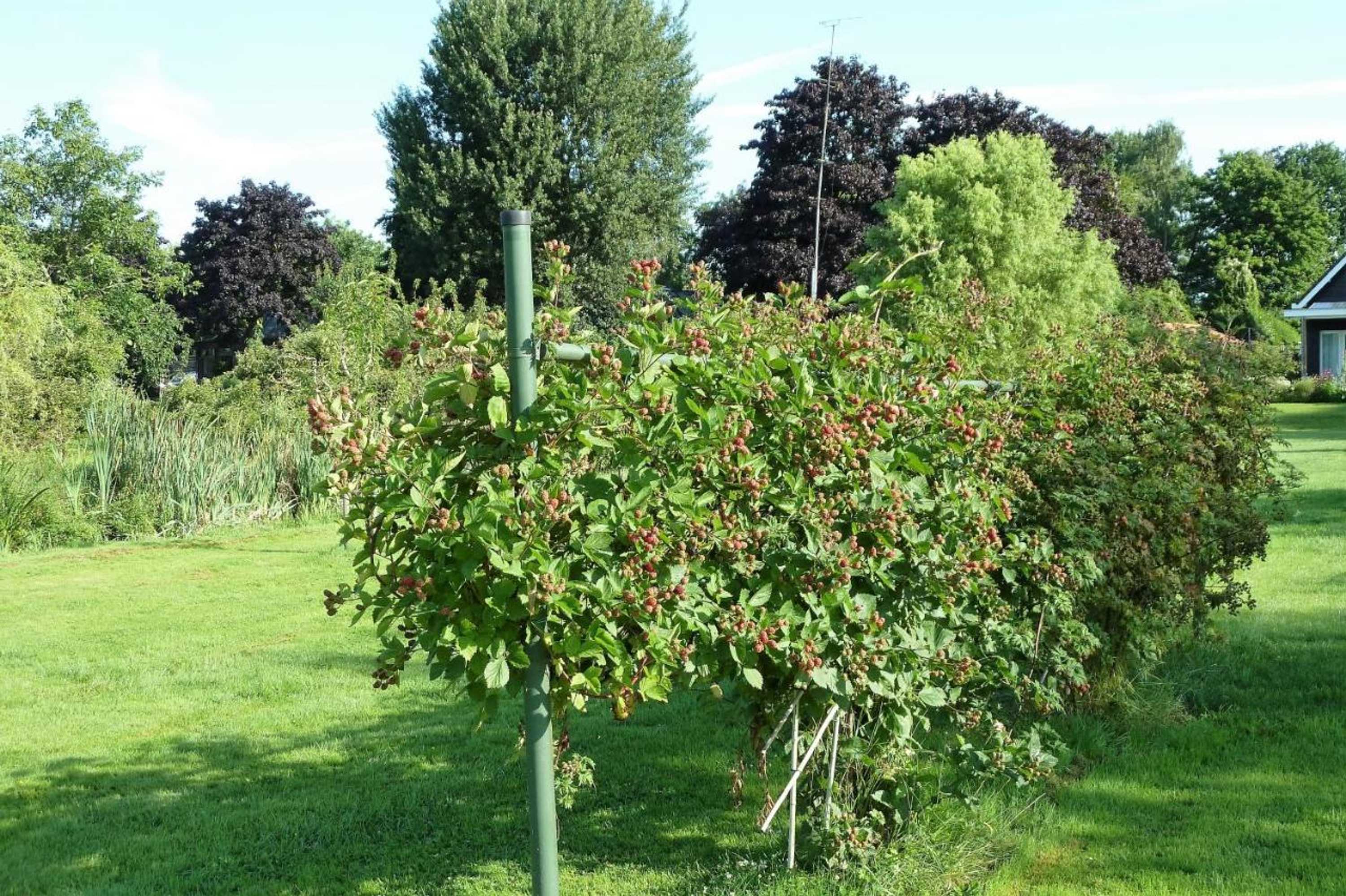 Gift card for Bed&breakfast Hoornaar