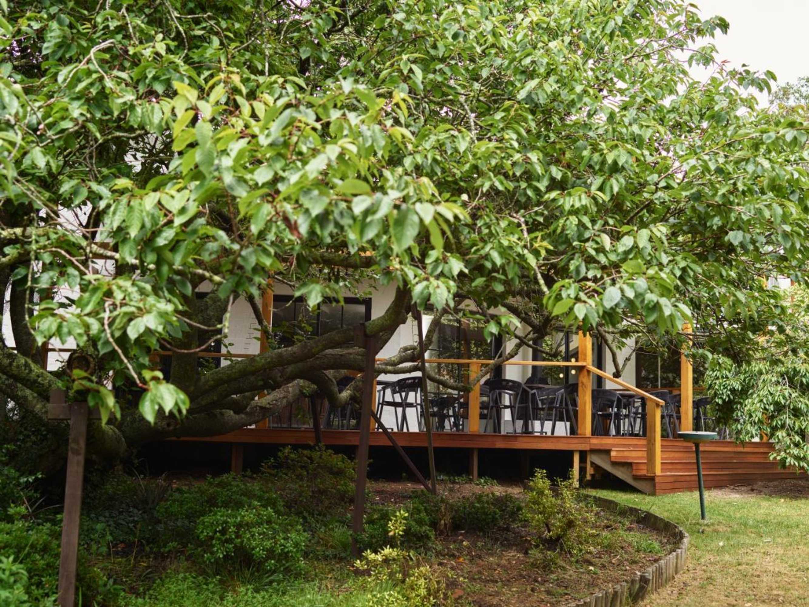 Gift card for Kyah Hotel