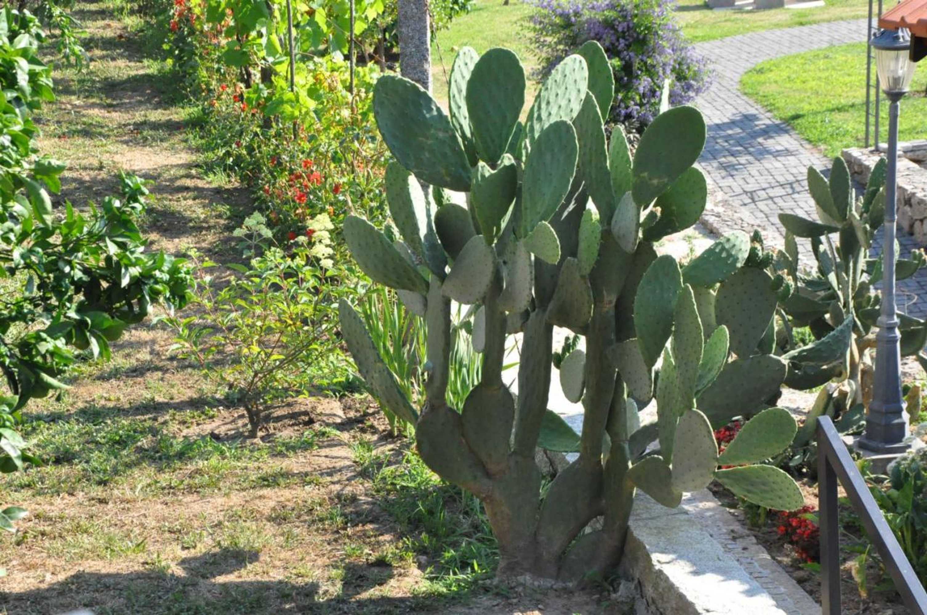 Gift card for Casa Dos Avós by Eira Dos Canastros