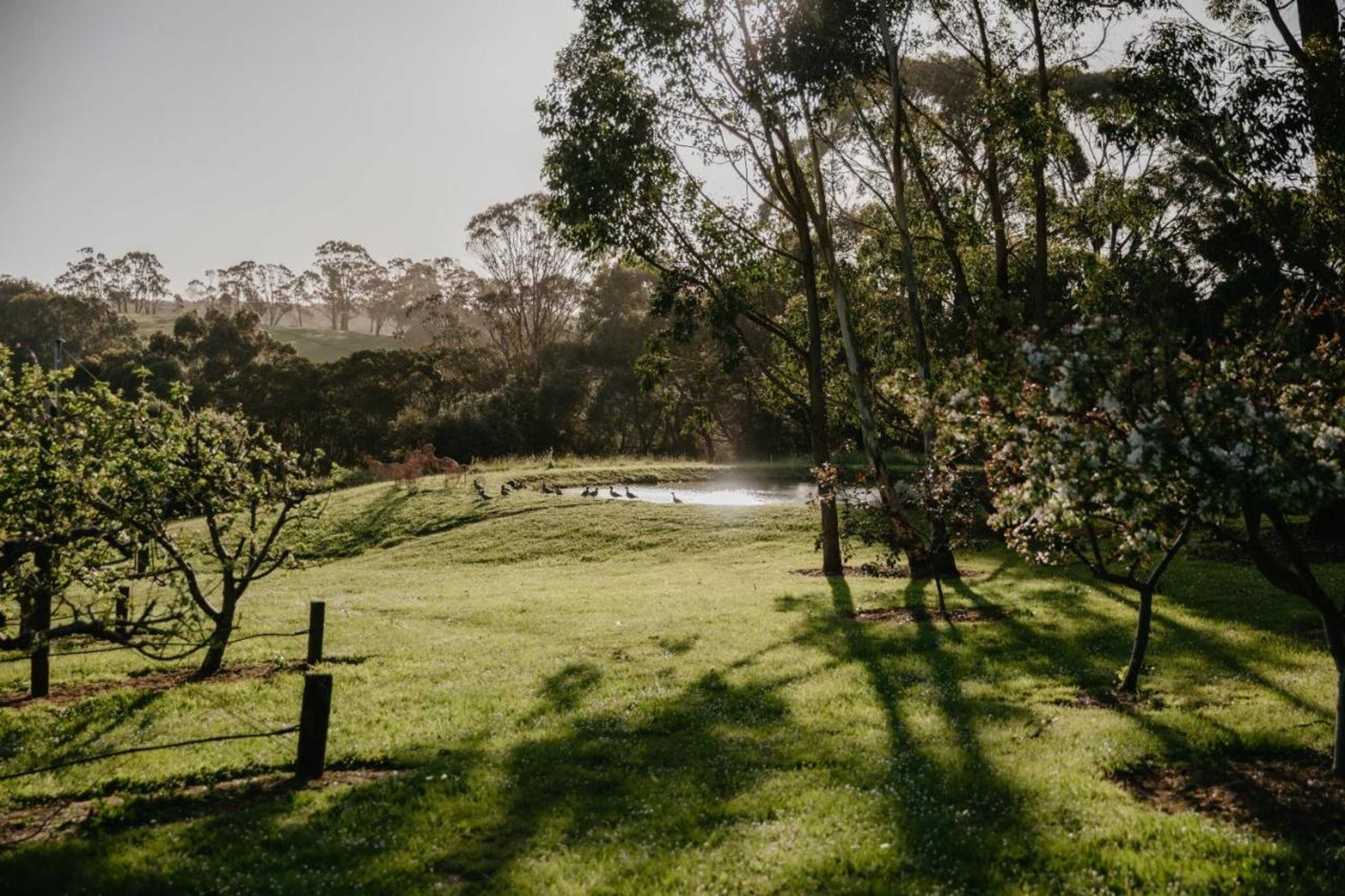 Gift card for Hart's Farm