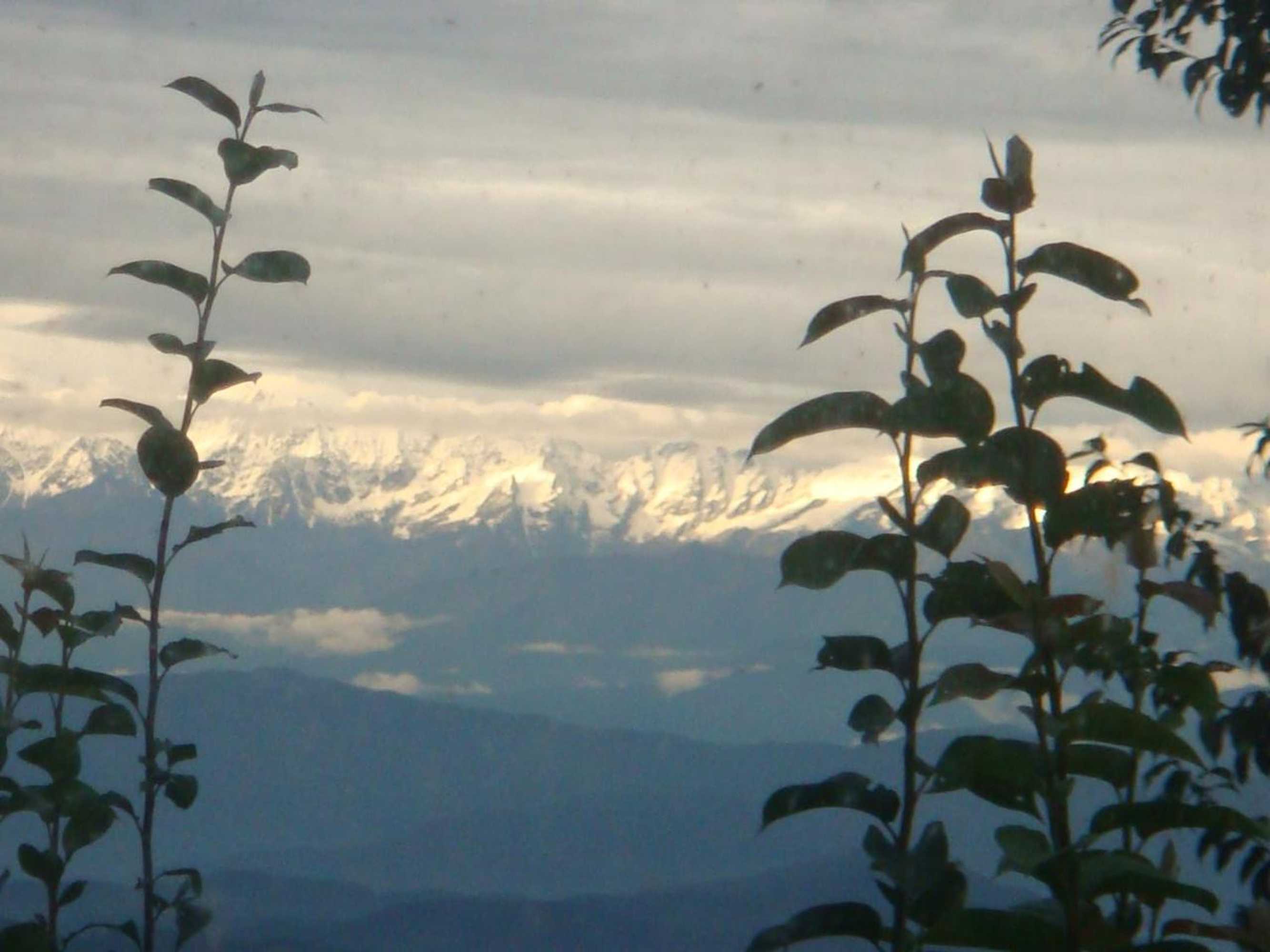 Gift card for Shiva Guest House