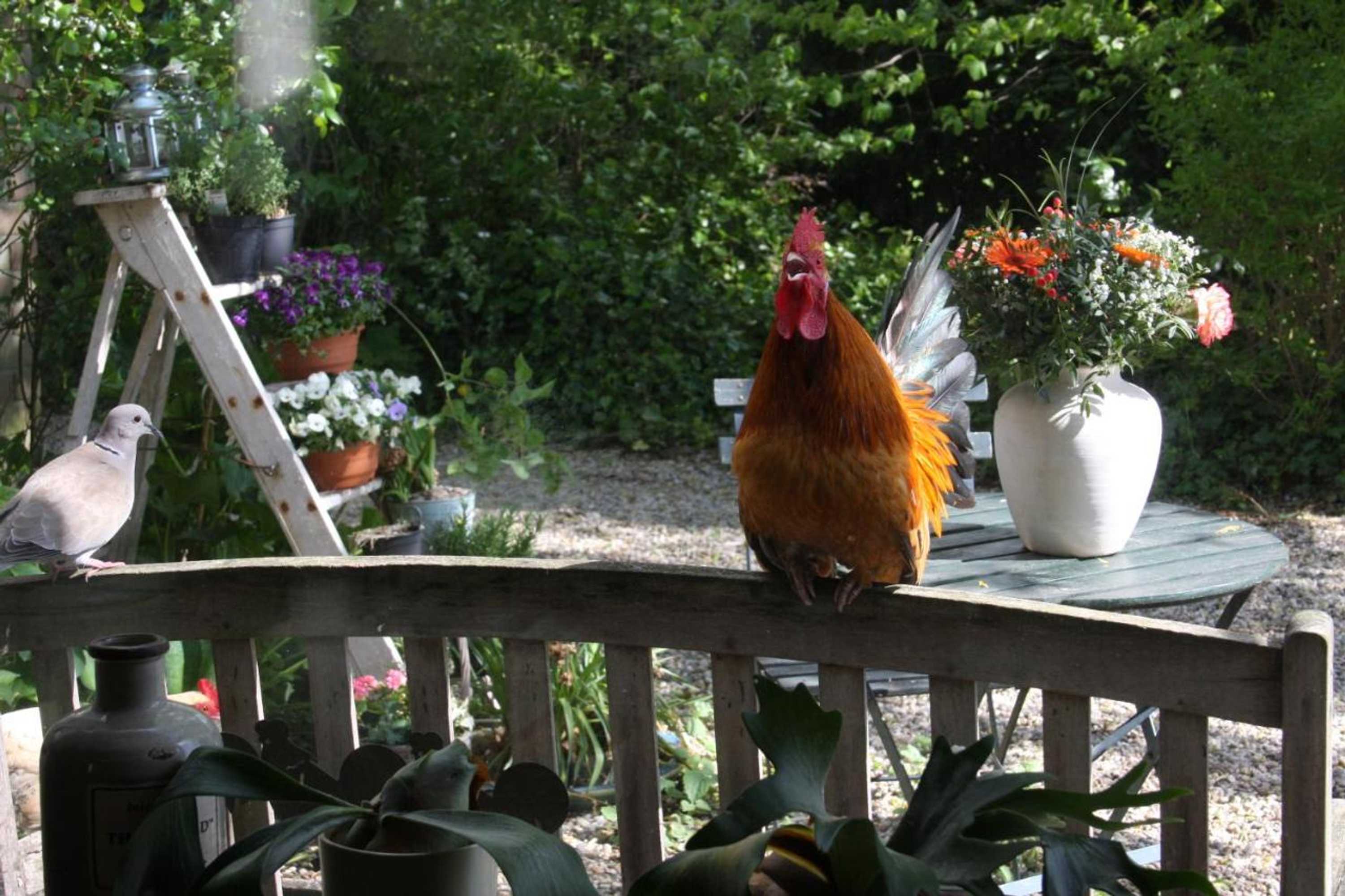 Gift card for Atelier La Luna