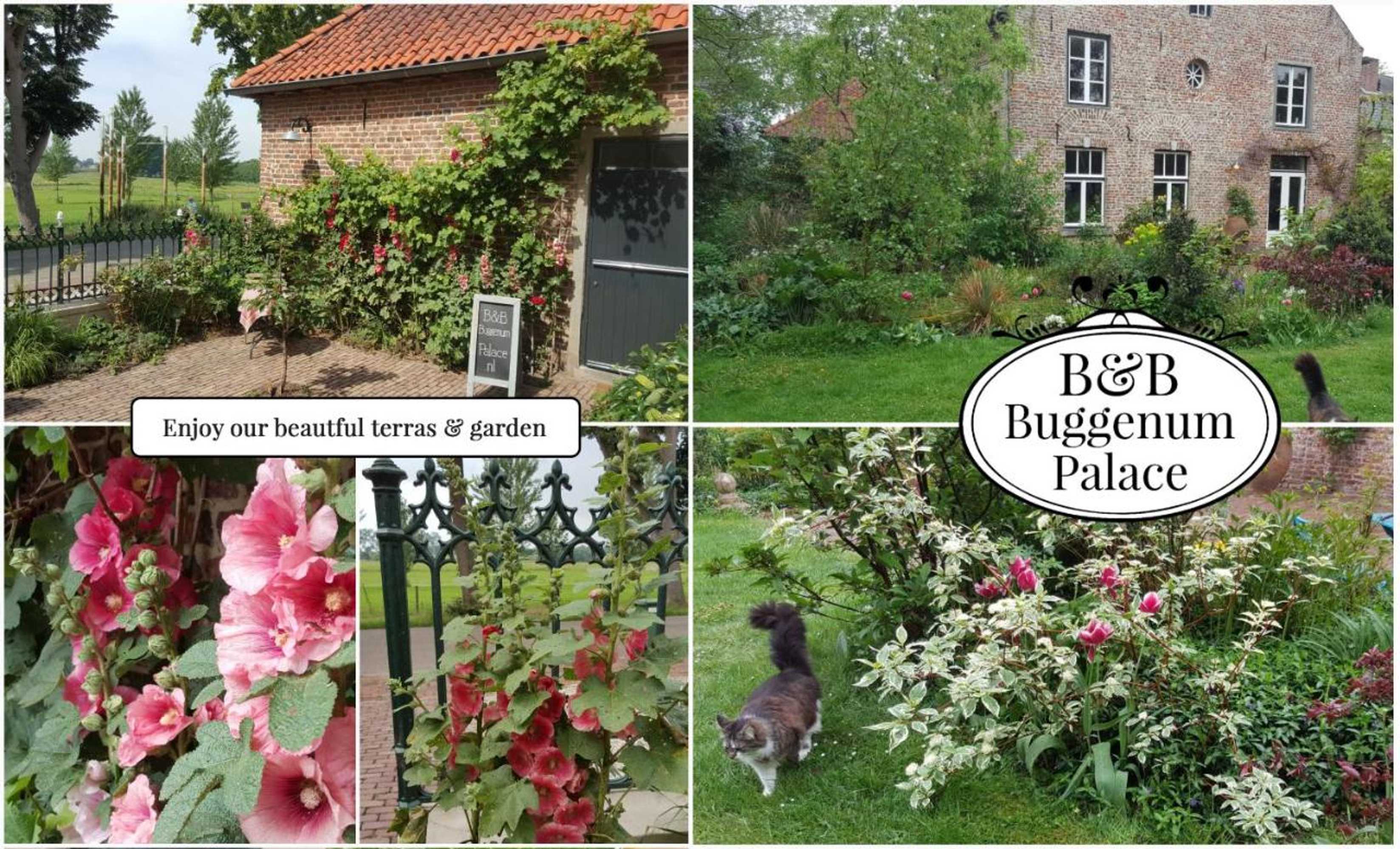 Gift card for B&b Buggenum Palace