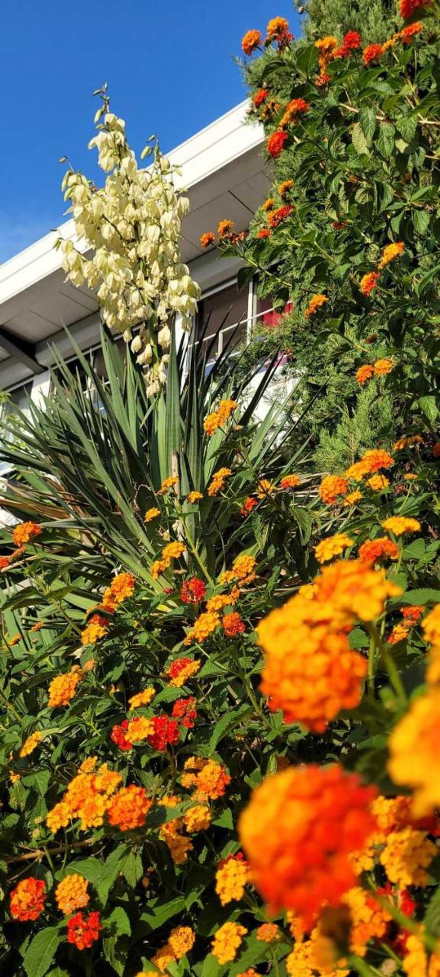 Gift card for Dolce Vita - Jacuzzi - La Ciotat