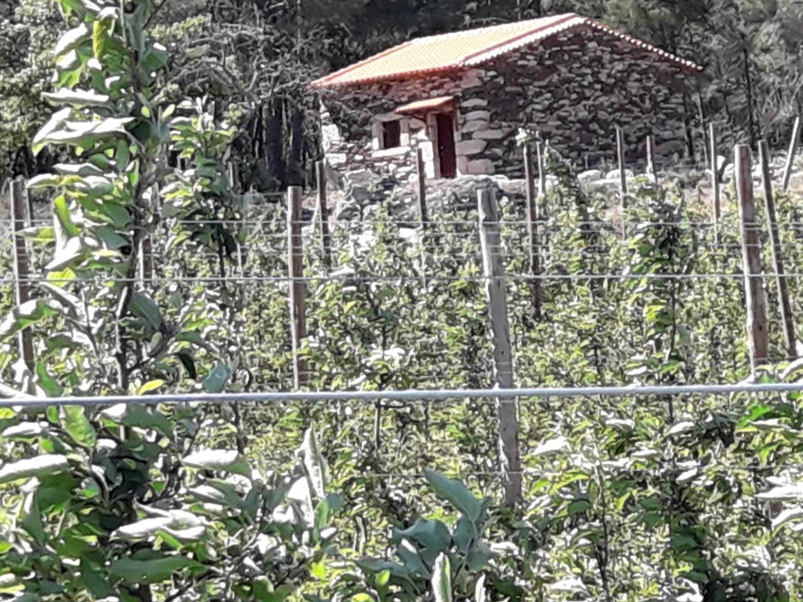 Gift card for Casa do Feitor - Douro - Quinta da Cabrida Gift card for Casa do Feitor - Douro - Quinta da Cabrida