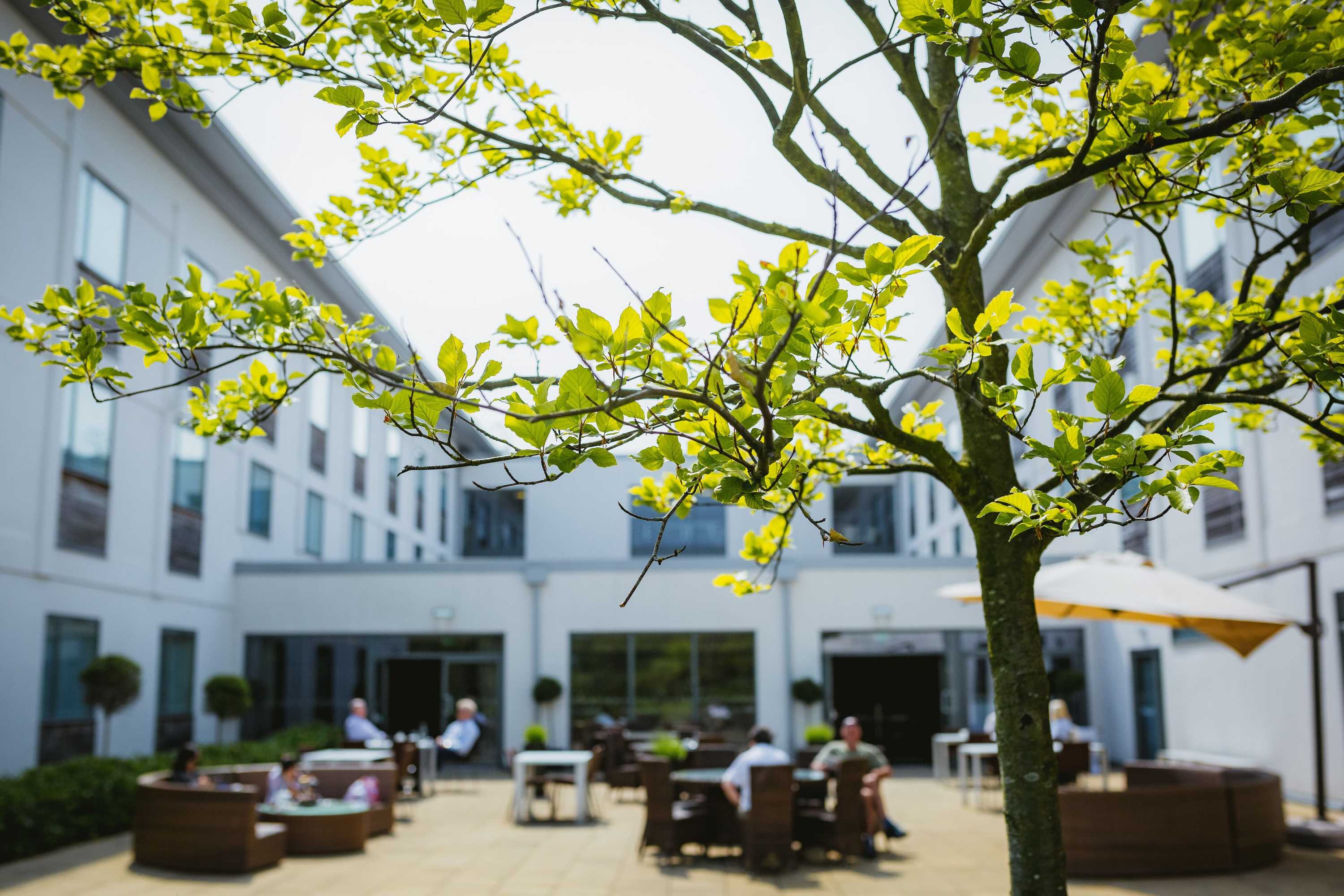 Gift card for Voco Winchester Hotel & Spa by Ihg Gift card for Voco Winchester Hotel & Spa by Ihg