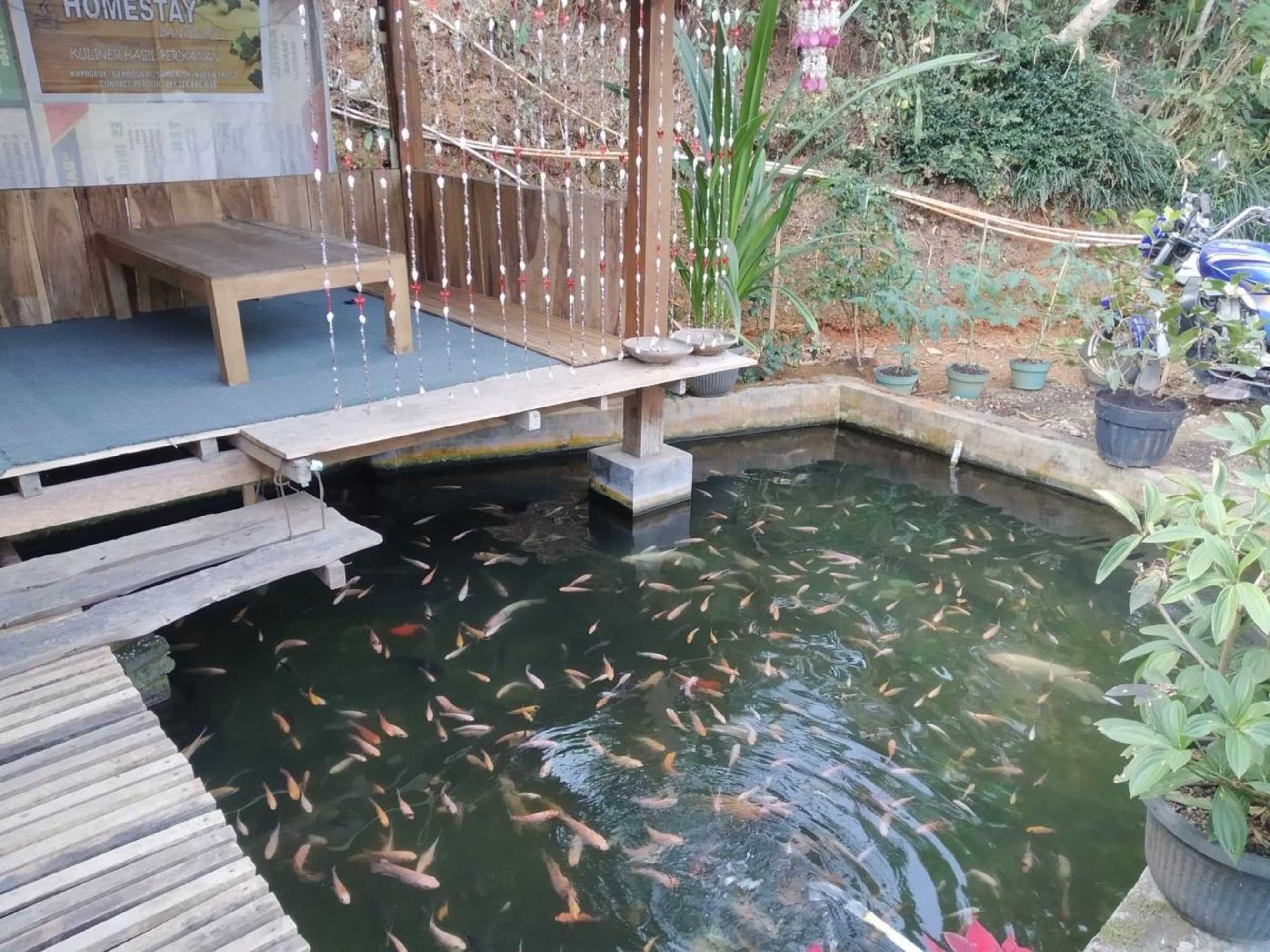 Gift card for Homestay Banyumili