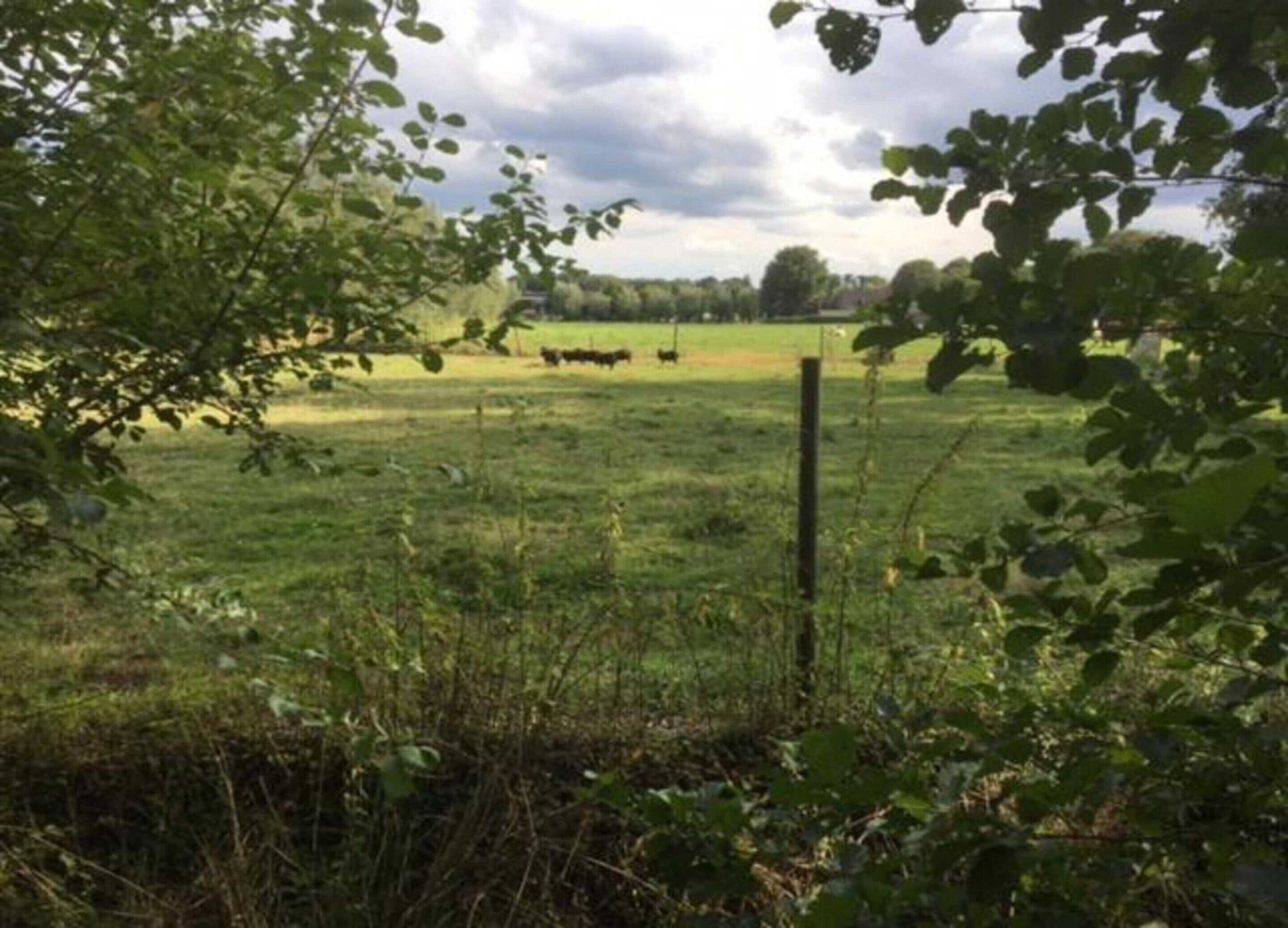 Gift card for Villa in Sandberghe With Sauna And Comfort