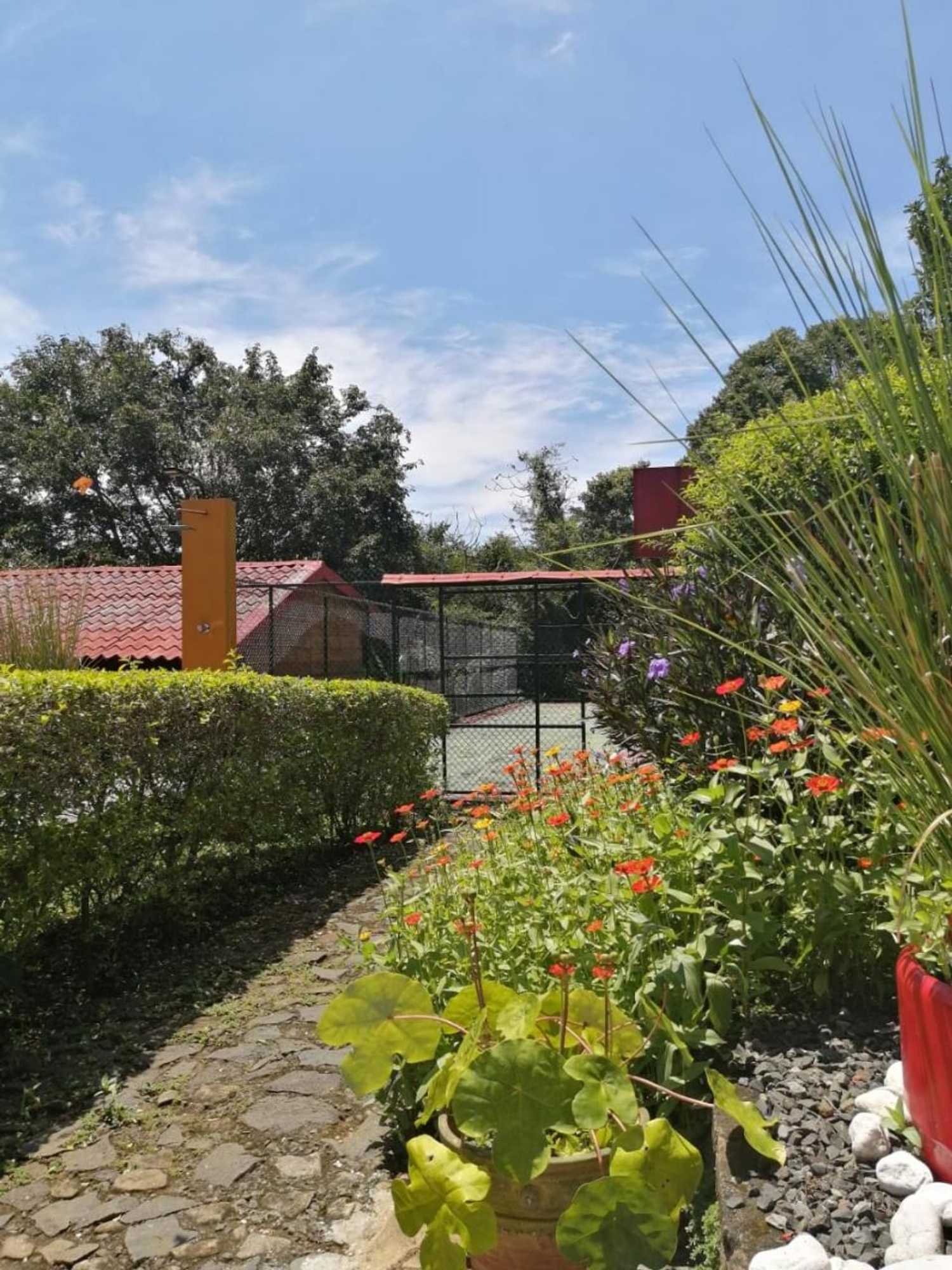 Gift card for The House of Hummingbird