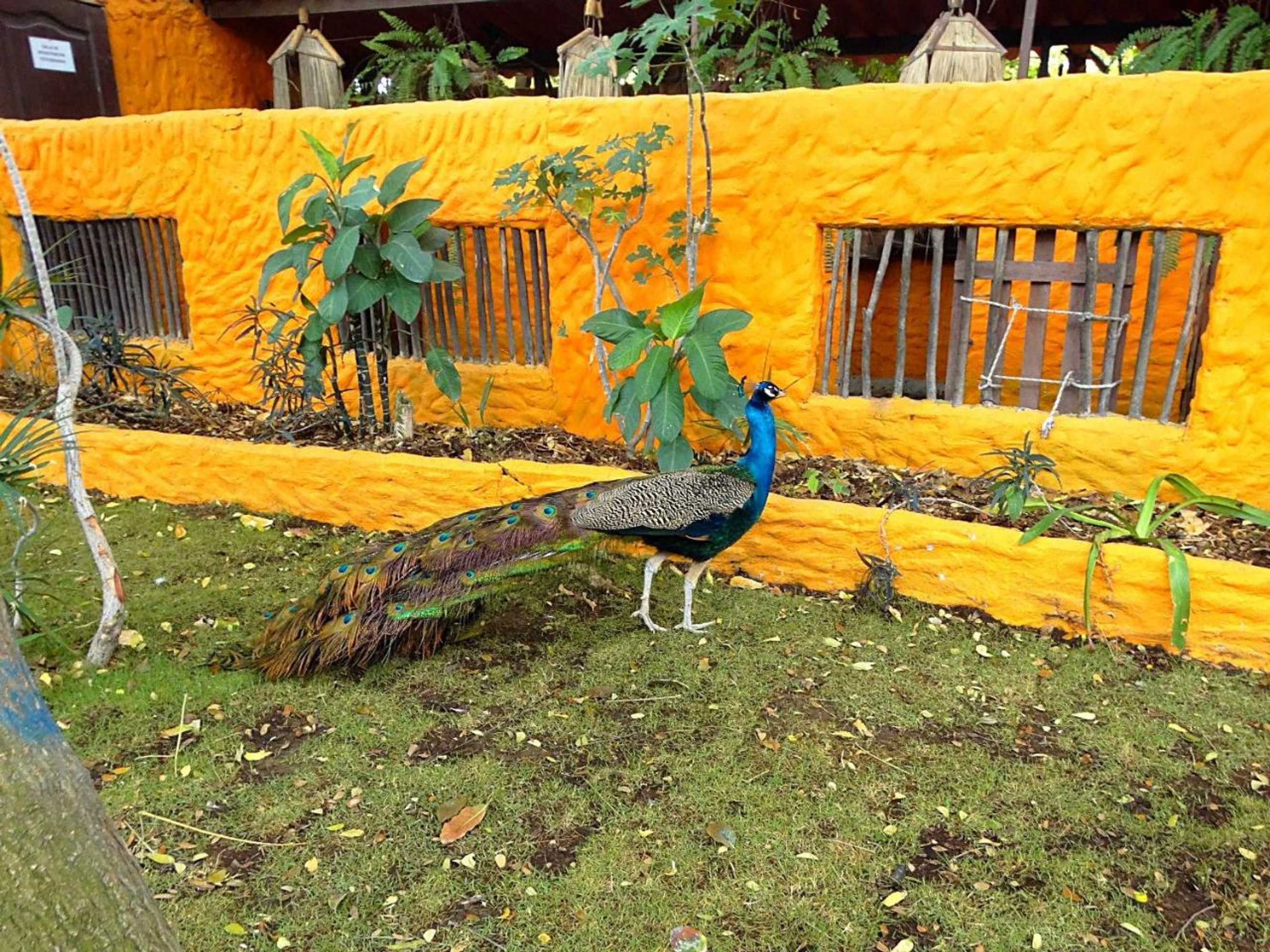 Gift card for Hostería Ecológica El Faro