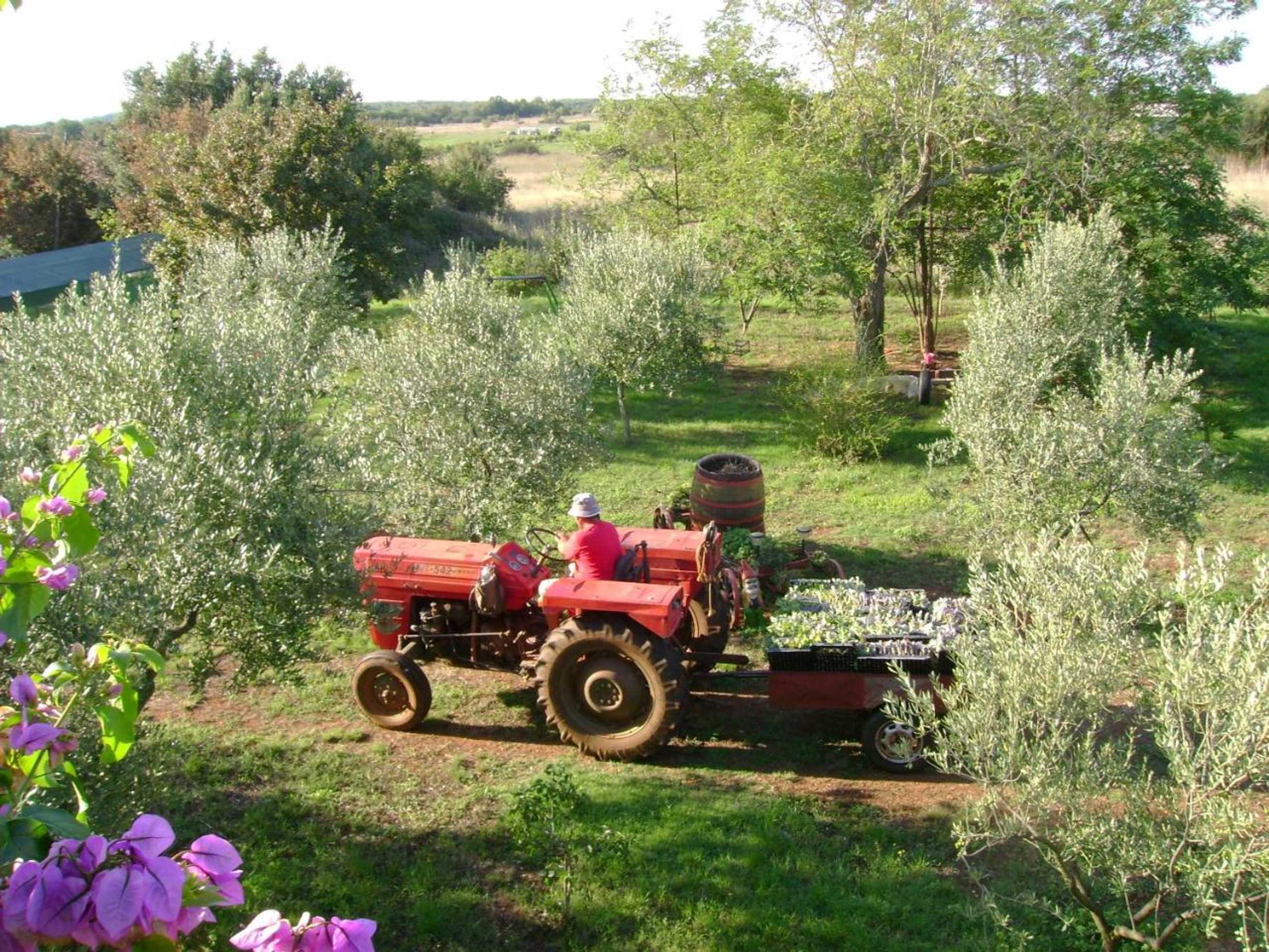 Gift card for Annamaria Home