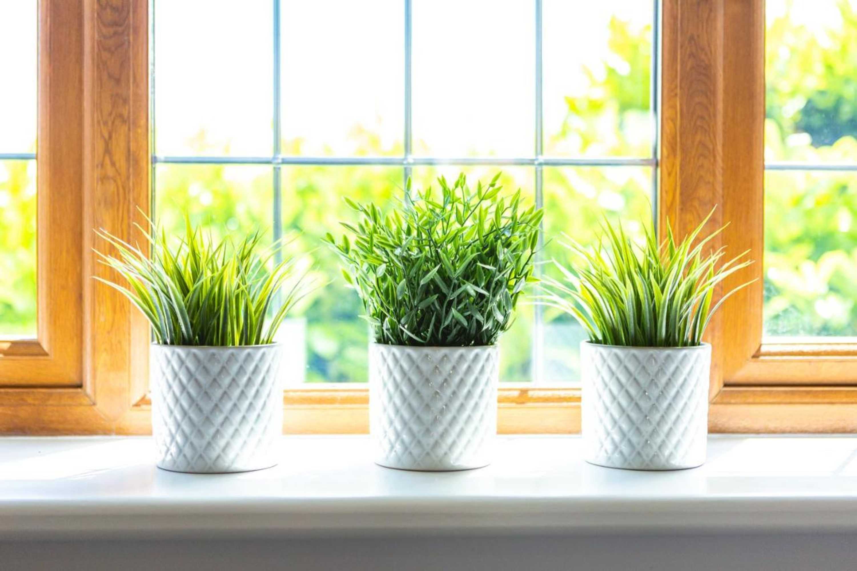 Gift card for Wick House B&b