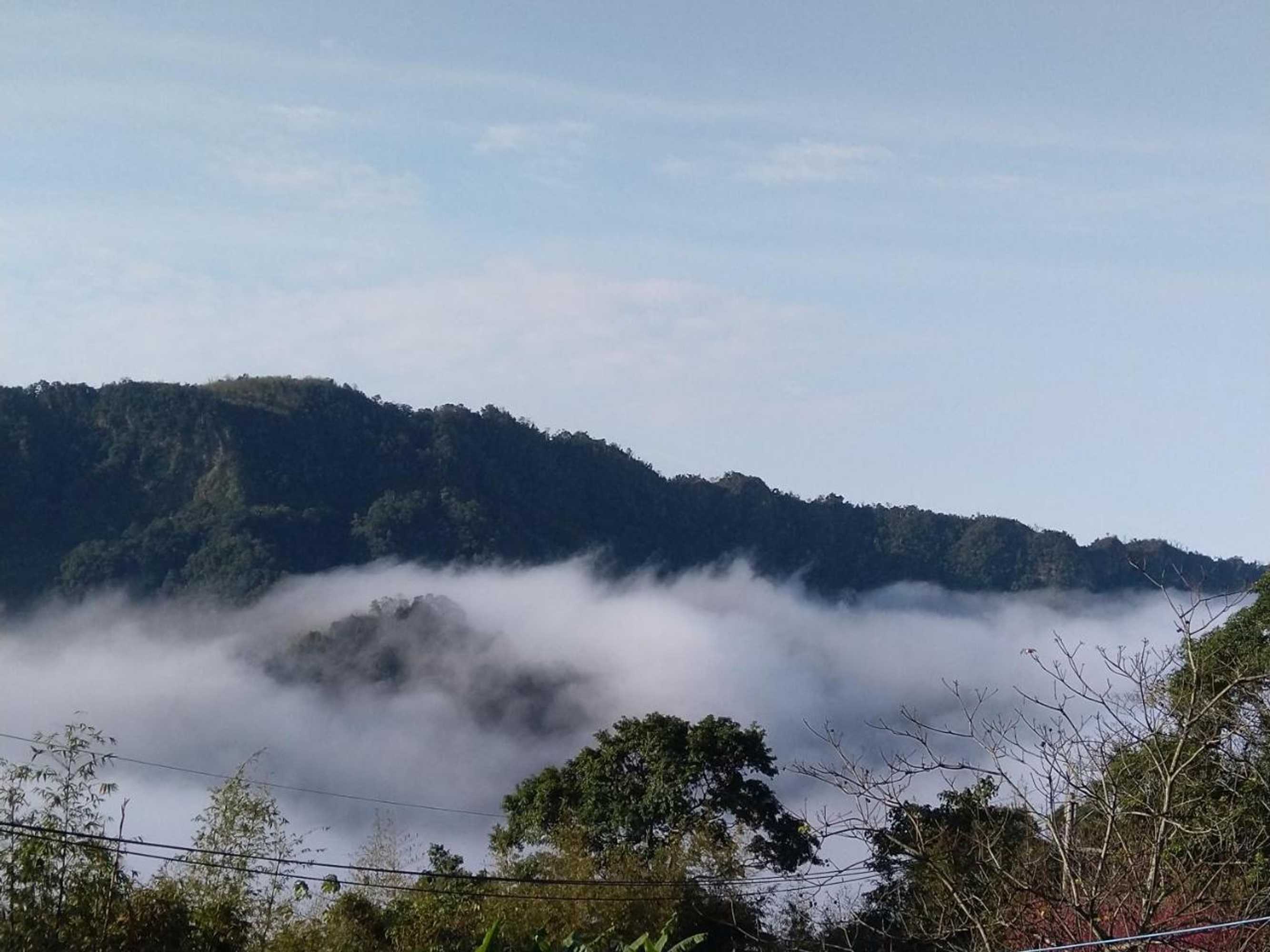 Gift card for Yun Ting Orchid Garden