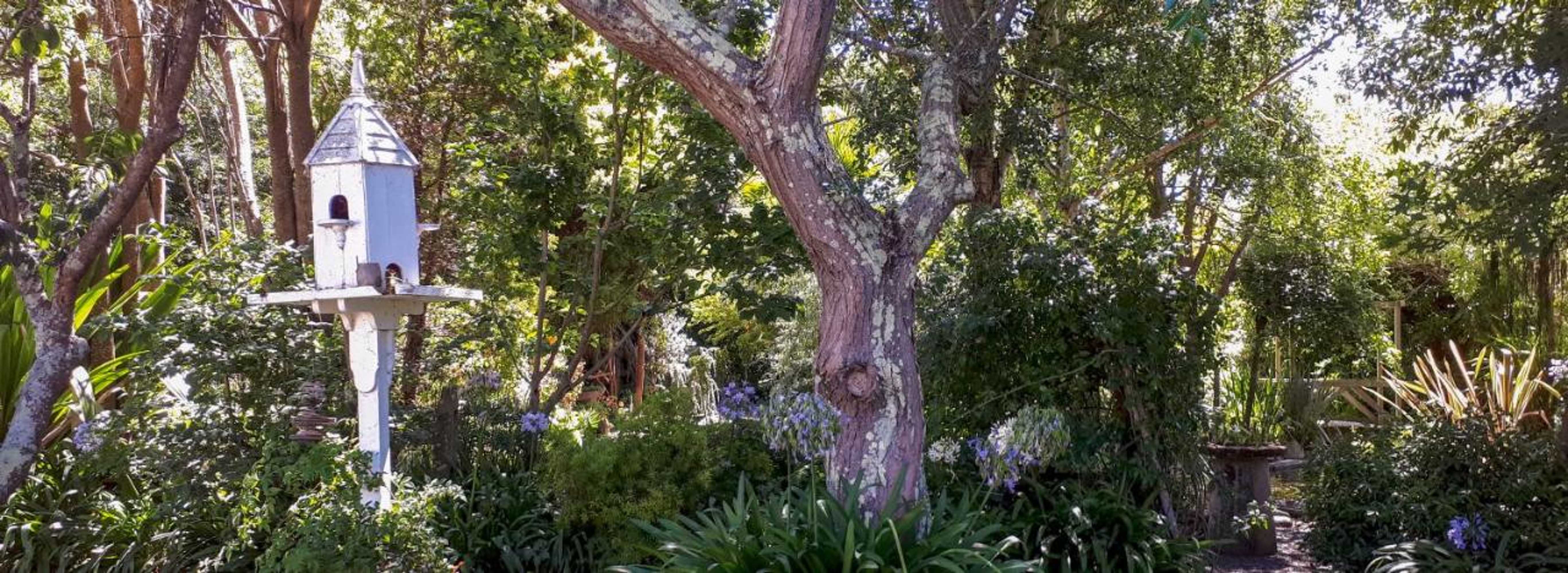 Gift card for Clive Colonial Cottages