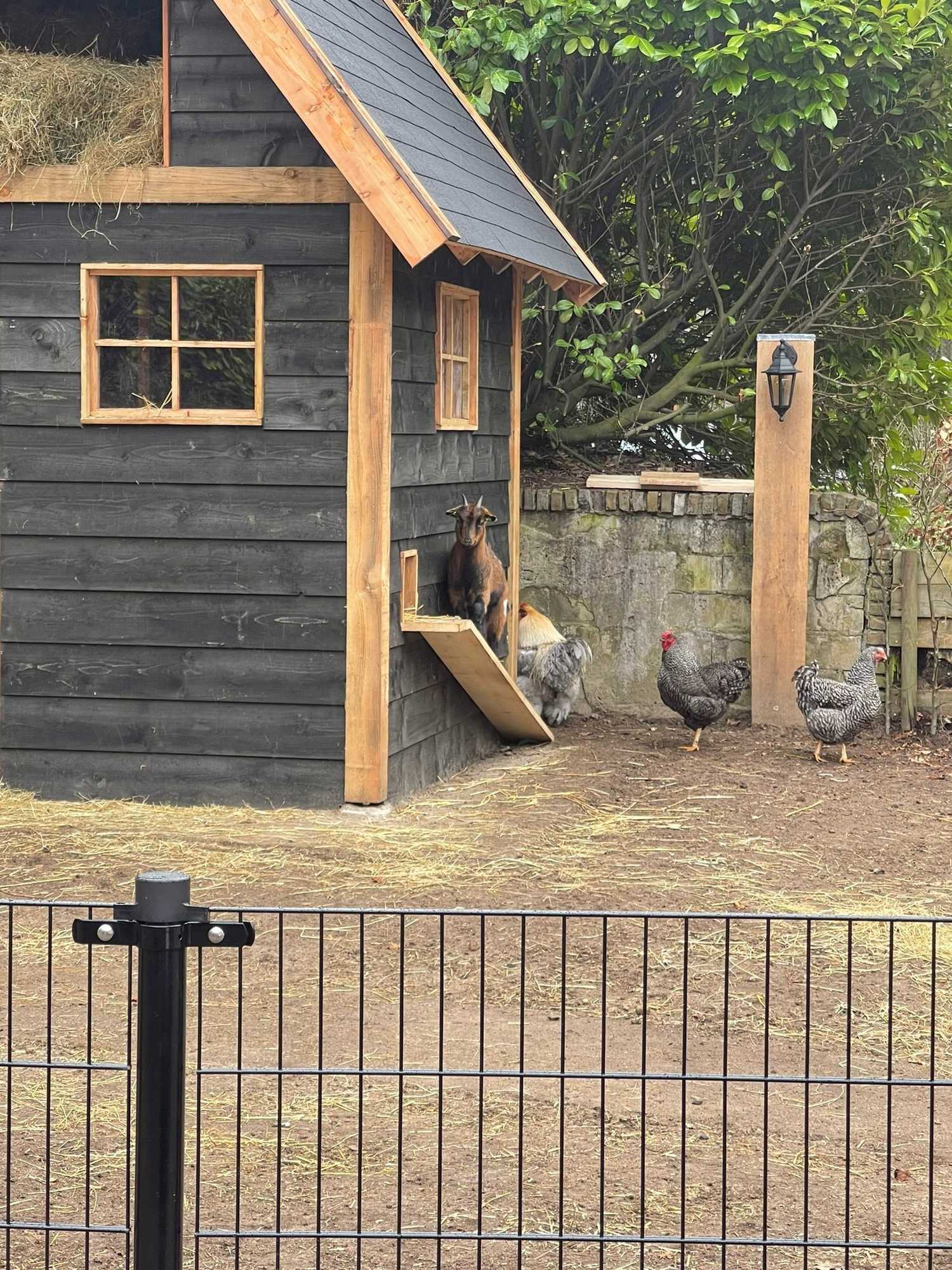 Gift card for Vakantiepark De Bosrand