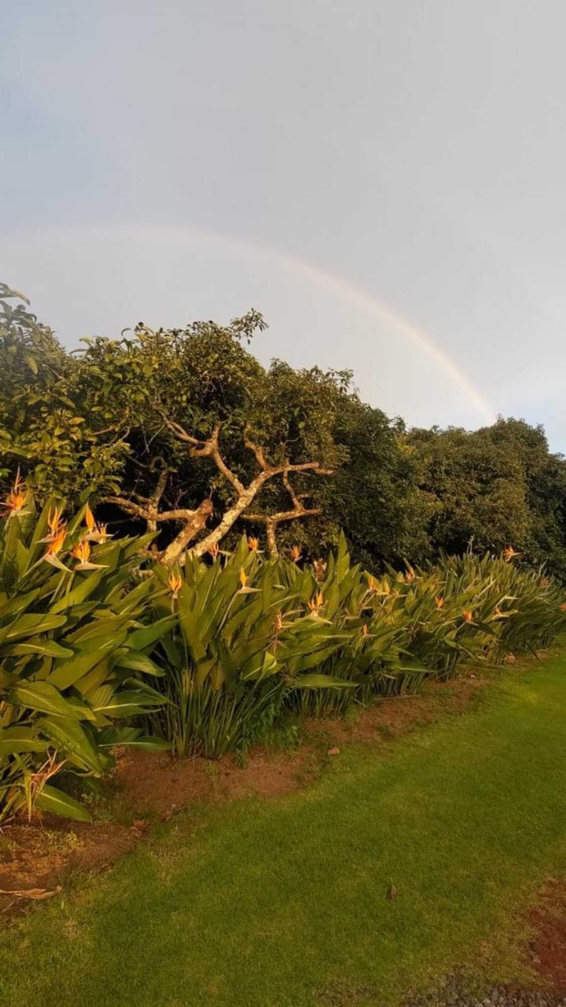 Gift card for Hotel Rancho Las Margaritas