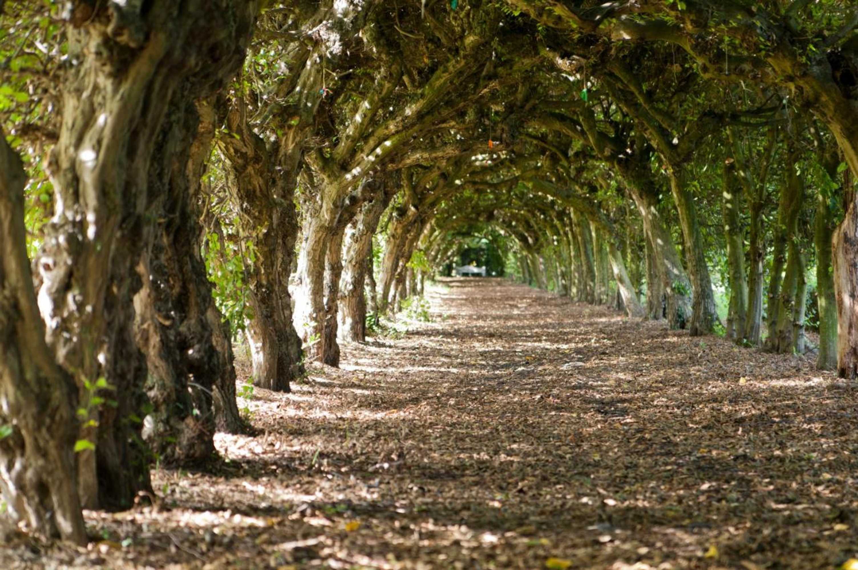 Gift card for Kasteel Aldenghoor