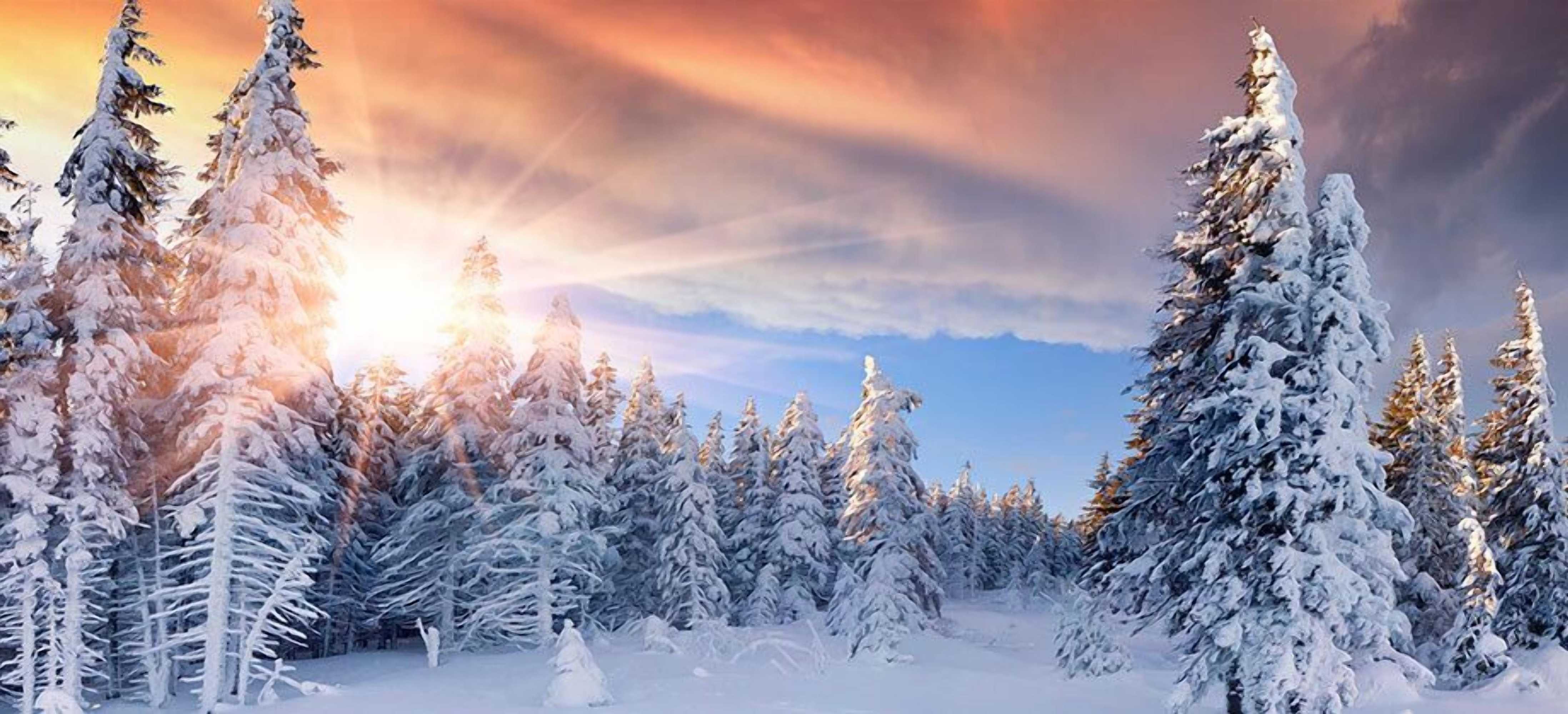 Gift card for Hotel an Der Sonne & Restaurant Zum Schneiger