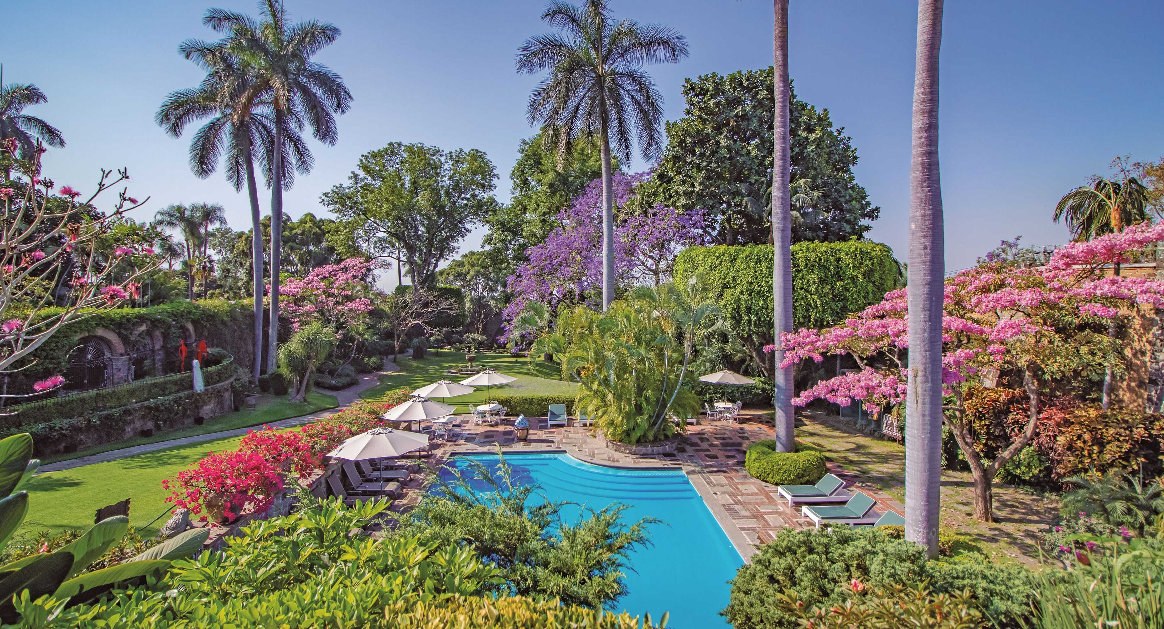 Gift card for Las Mananitas Hotel Garden Restaurant And Spa Gift card for Las Mananitas Hotel Garden Restaurant And Spa