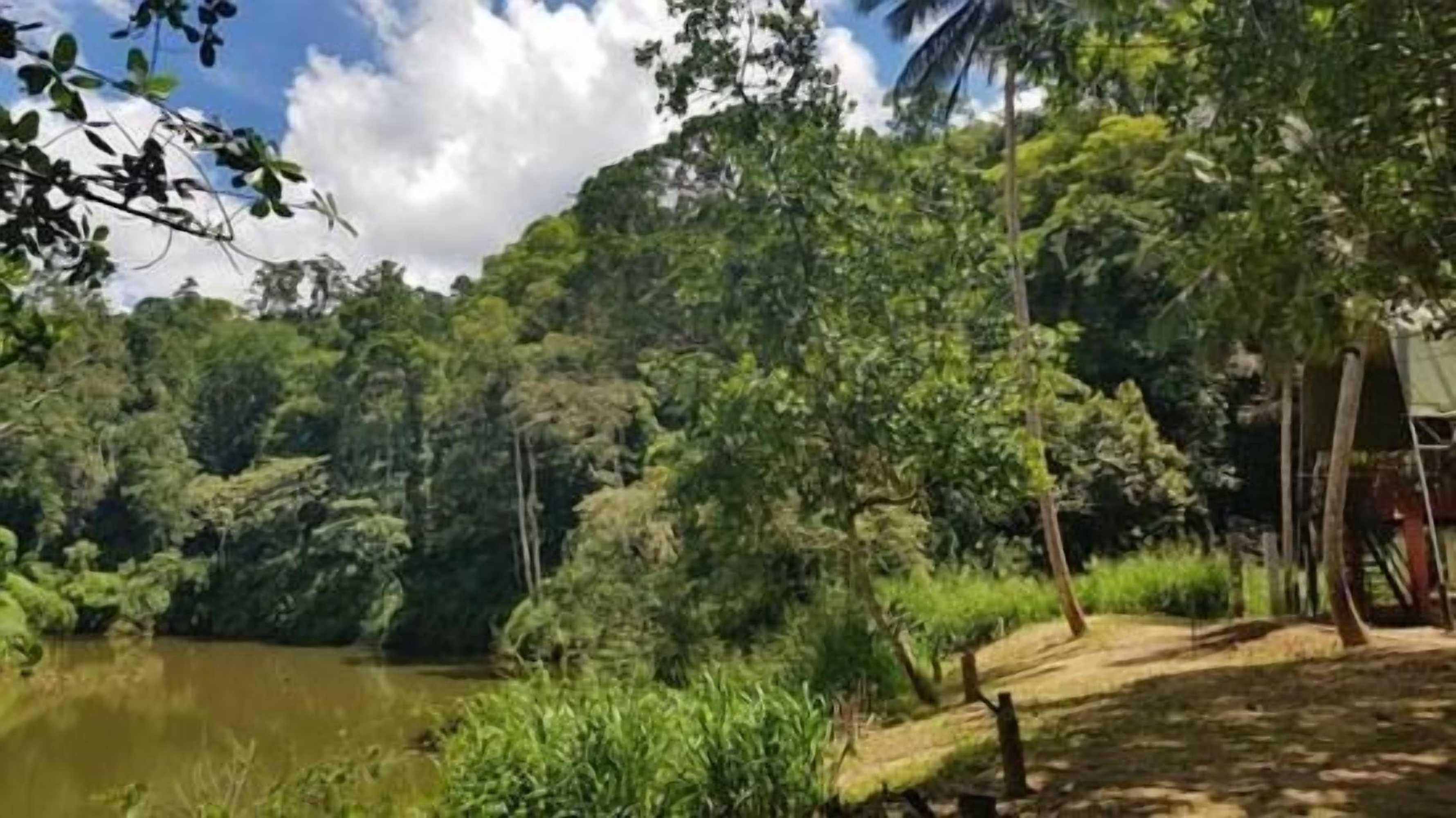 Gift card for 360 Rainforest