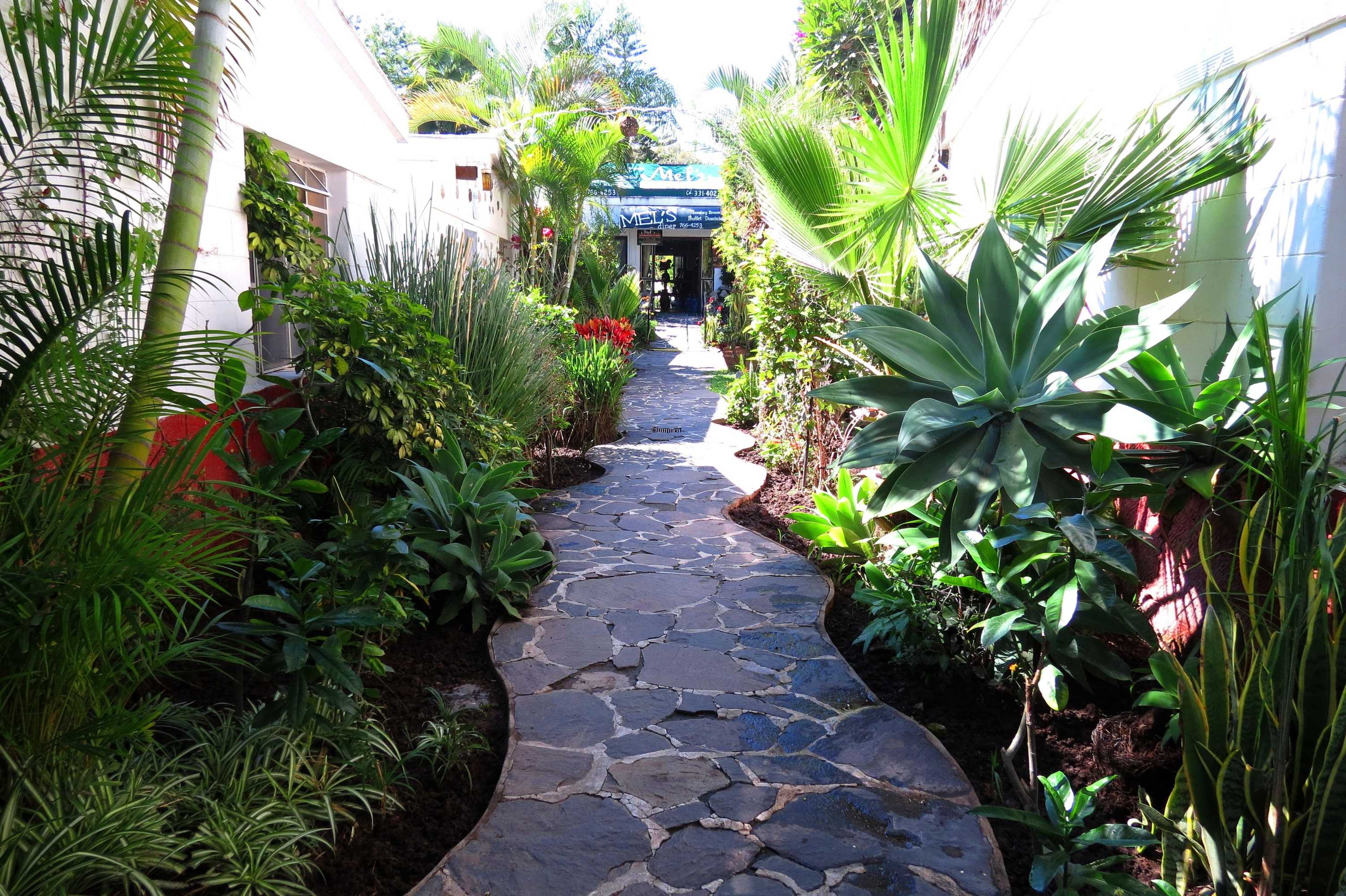 Gift card for Ajijic Plaza Suites Gift card for Ajijic Plaza Suites