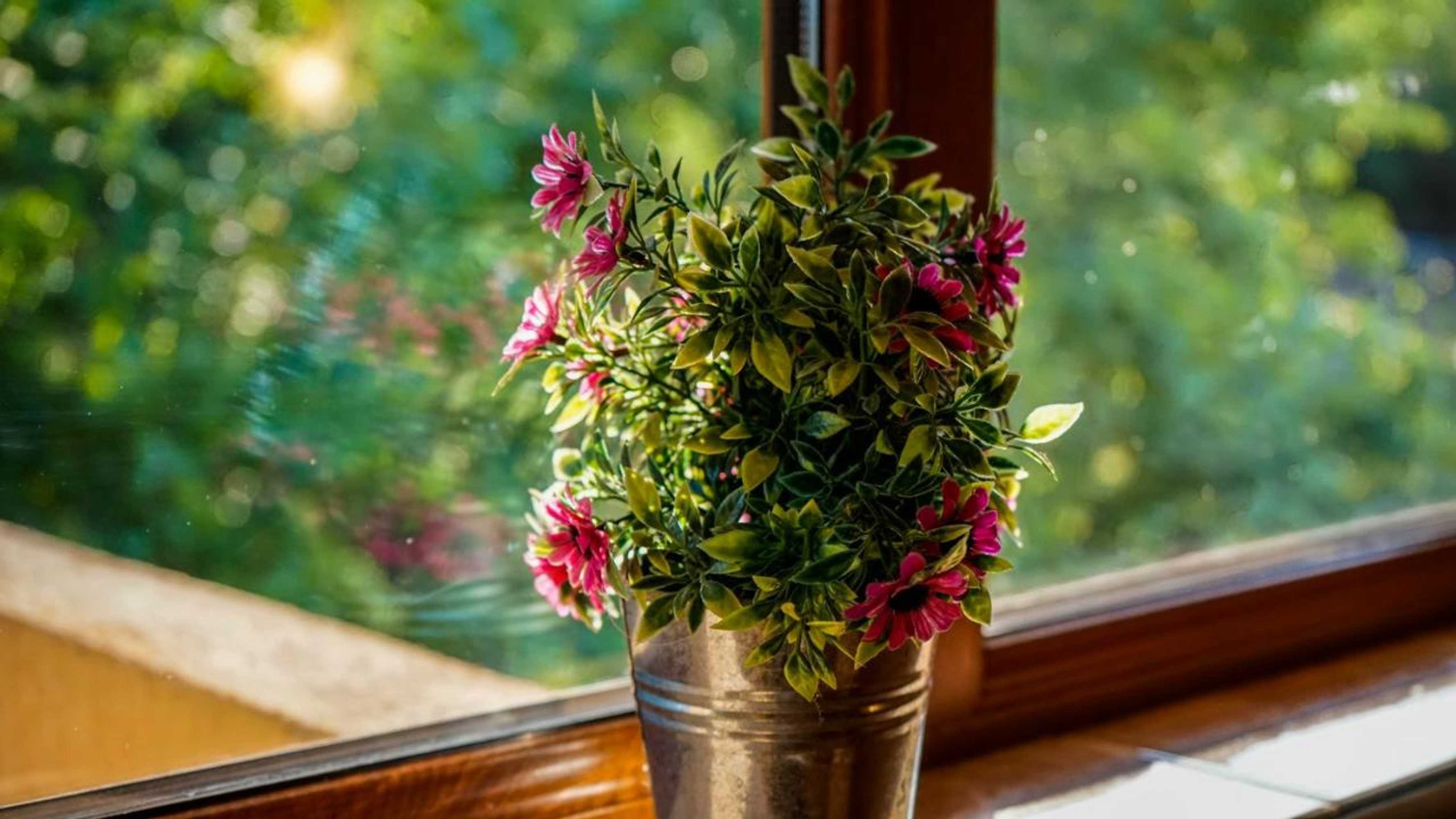 Gift card for Tatyana Guest House