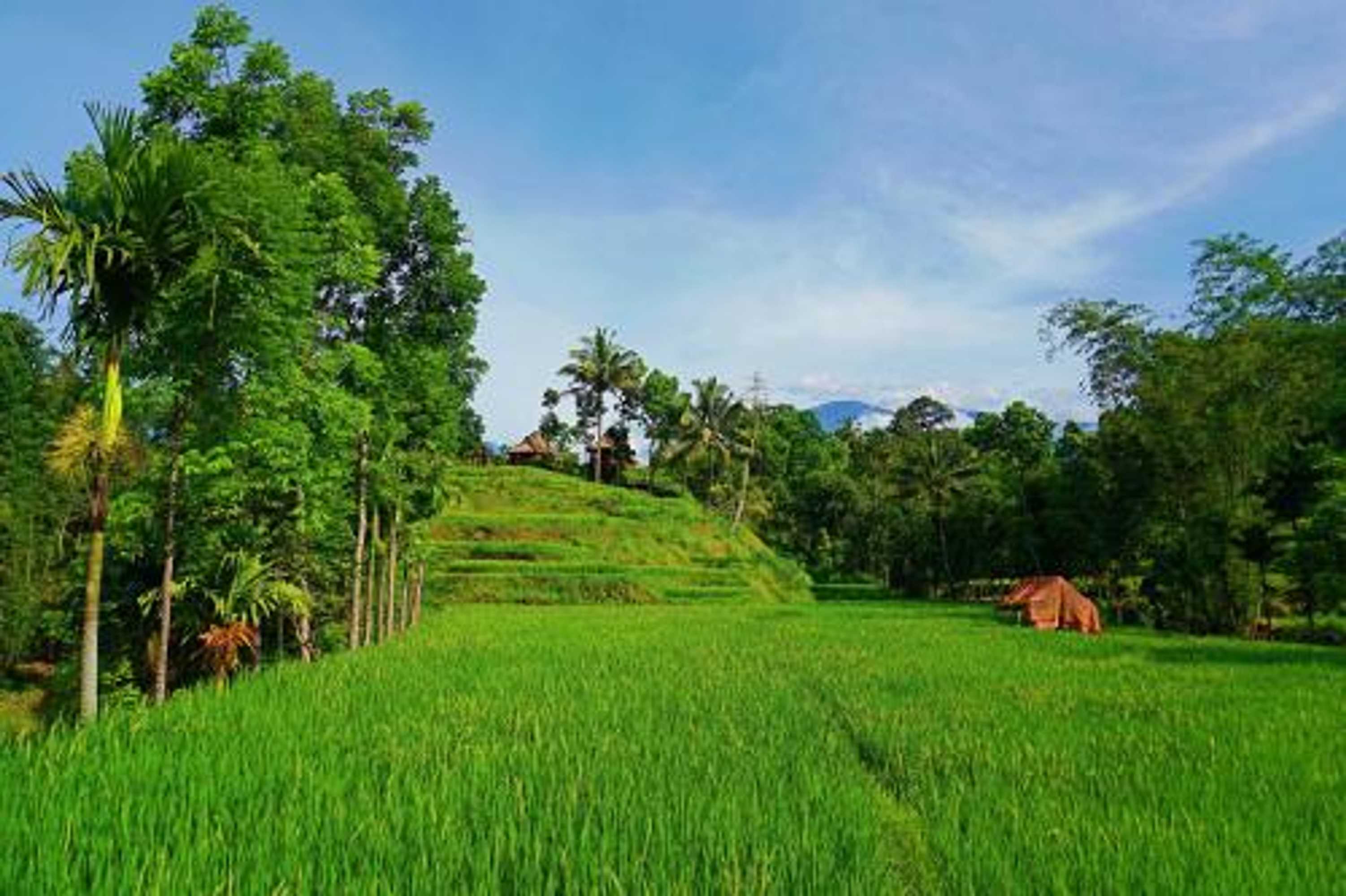 Gift card for Satu Lingkung Bungalows Homestay Gift card for Satu Lingkung Bungalows Homestay