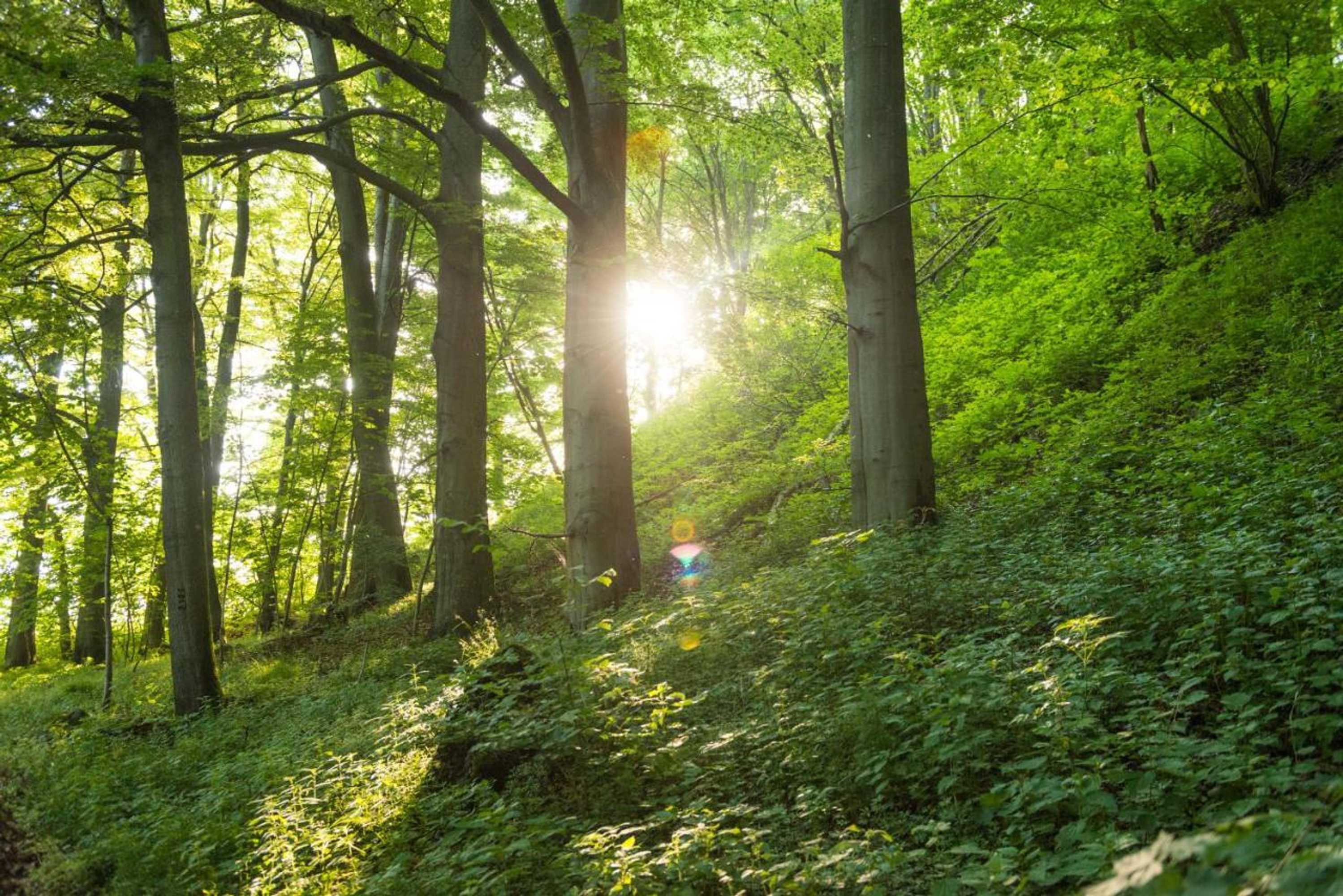 Gift card for Landhotel Kristall