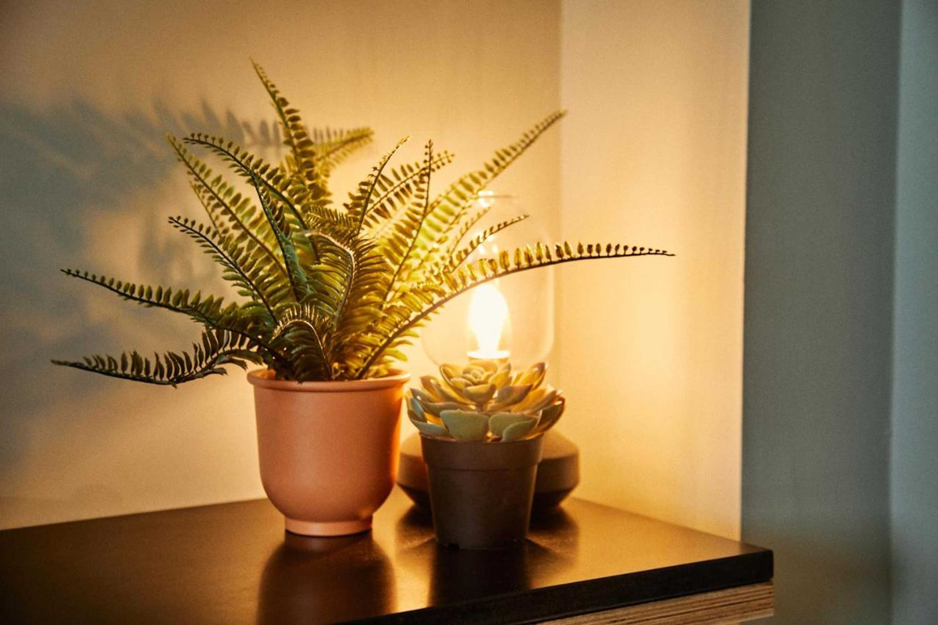 Gift card for Firefly