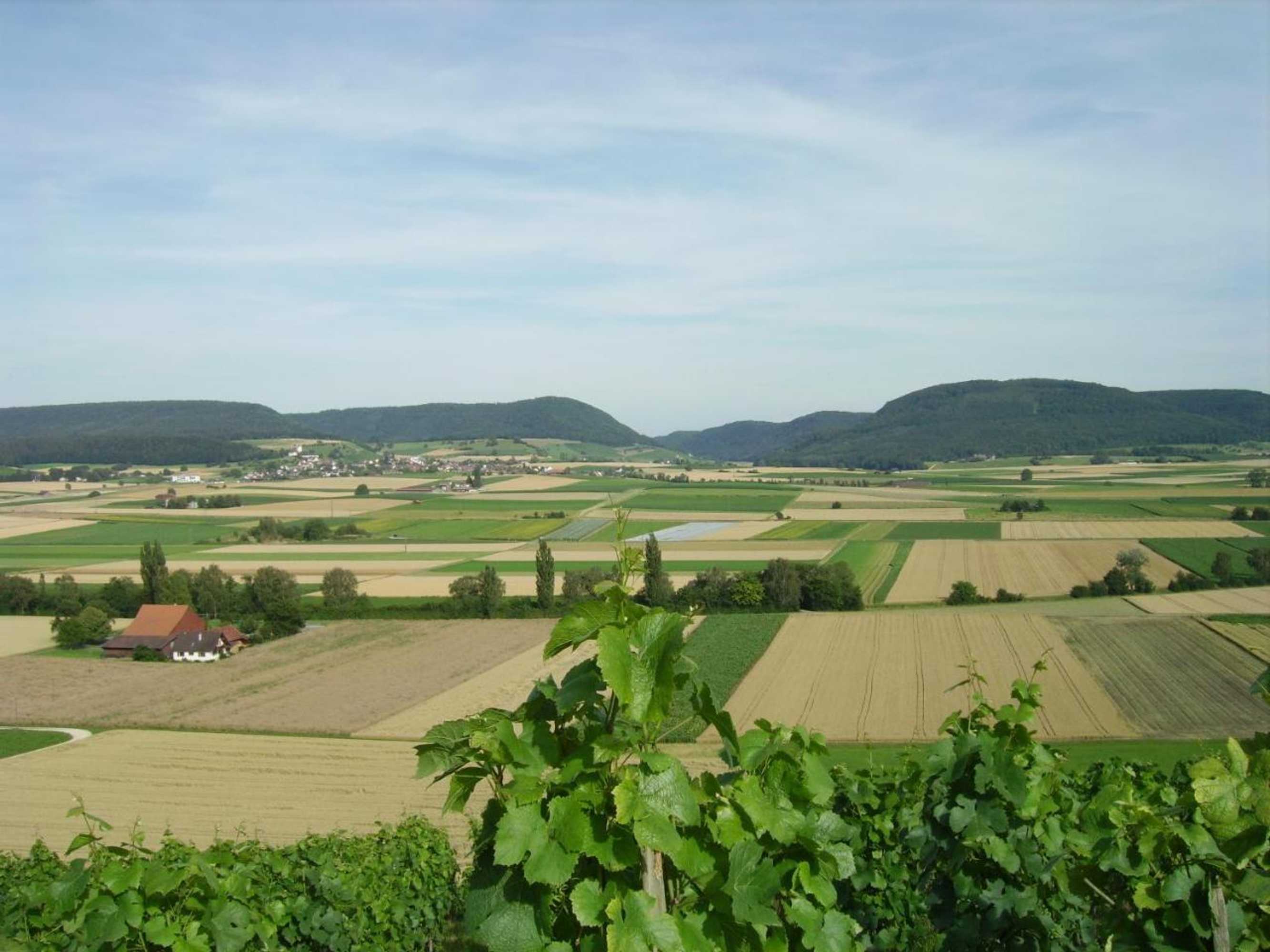 Gift card for Rüedi