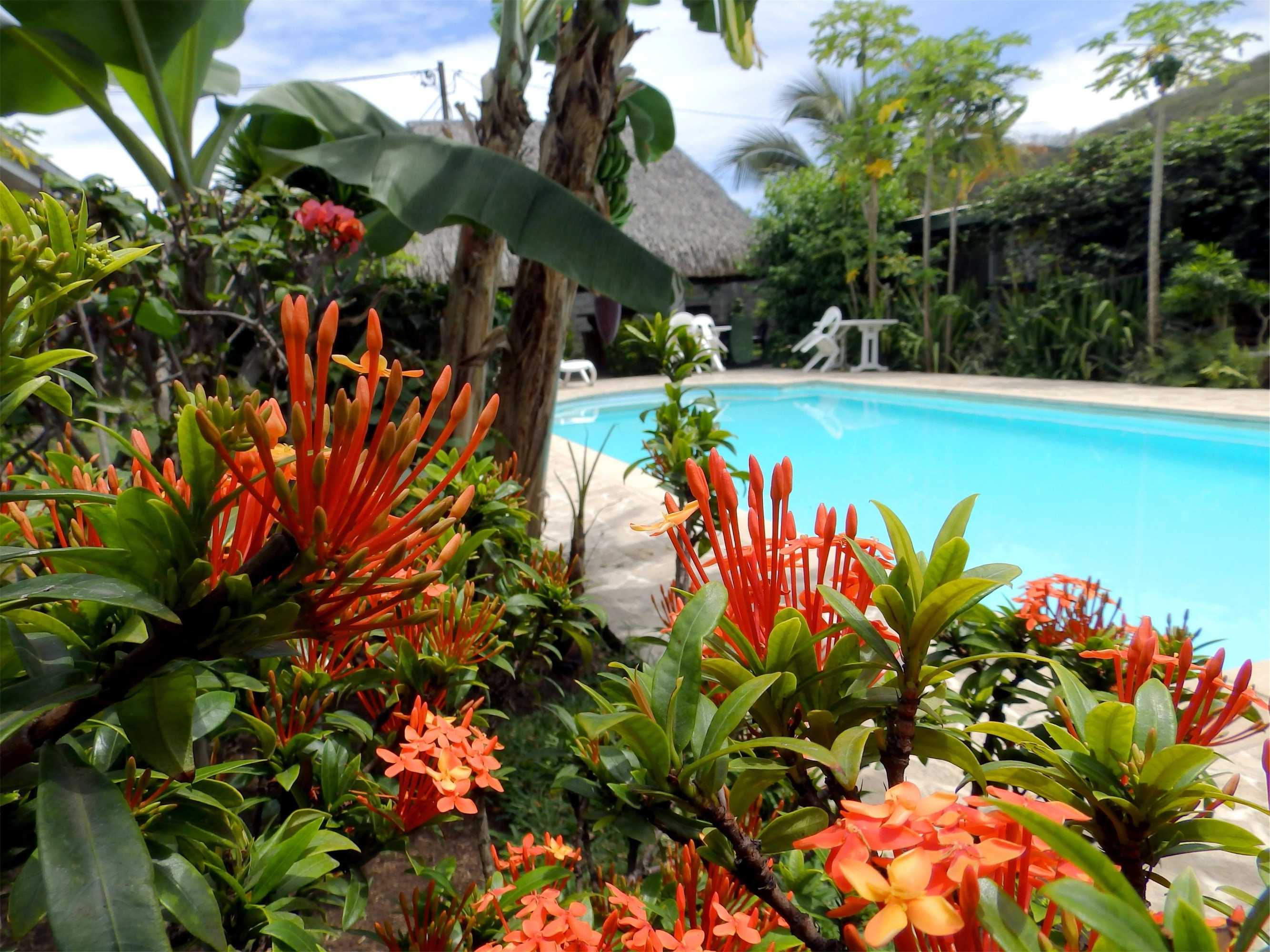 Gift card for Pension de la Plage Gift card for Pension de la Plage