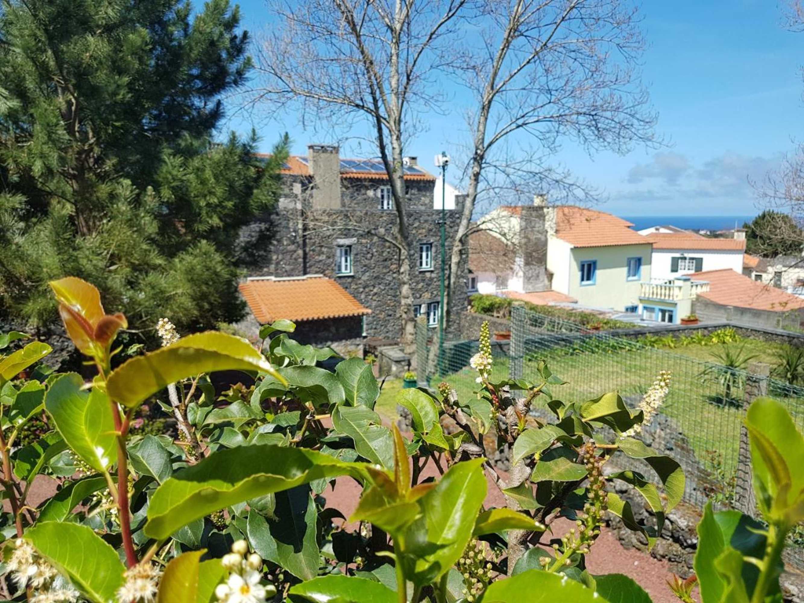 Gift card for Stonewood Lodge AL